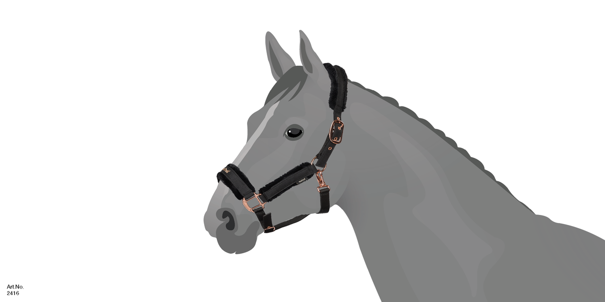 Licol Cheval Marron Full - Marque Back On Track - Confort Et Qualité