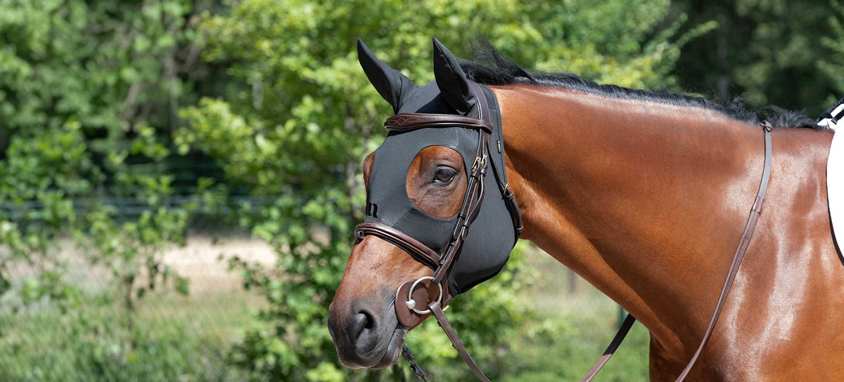 Masque AntiStress Back on Track France