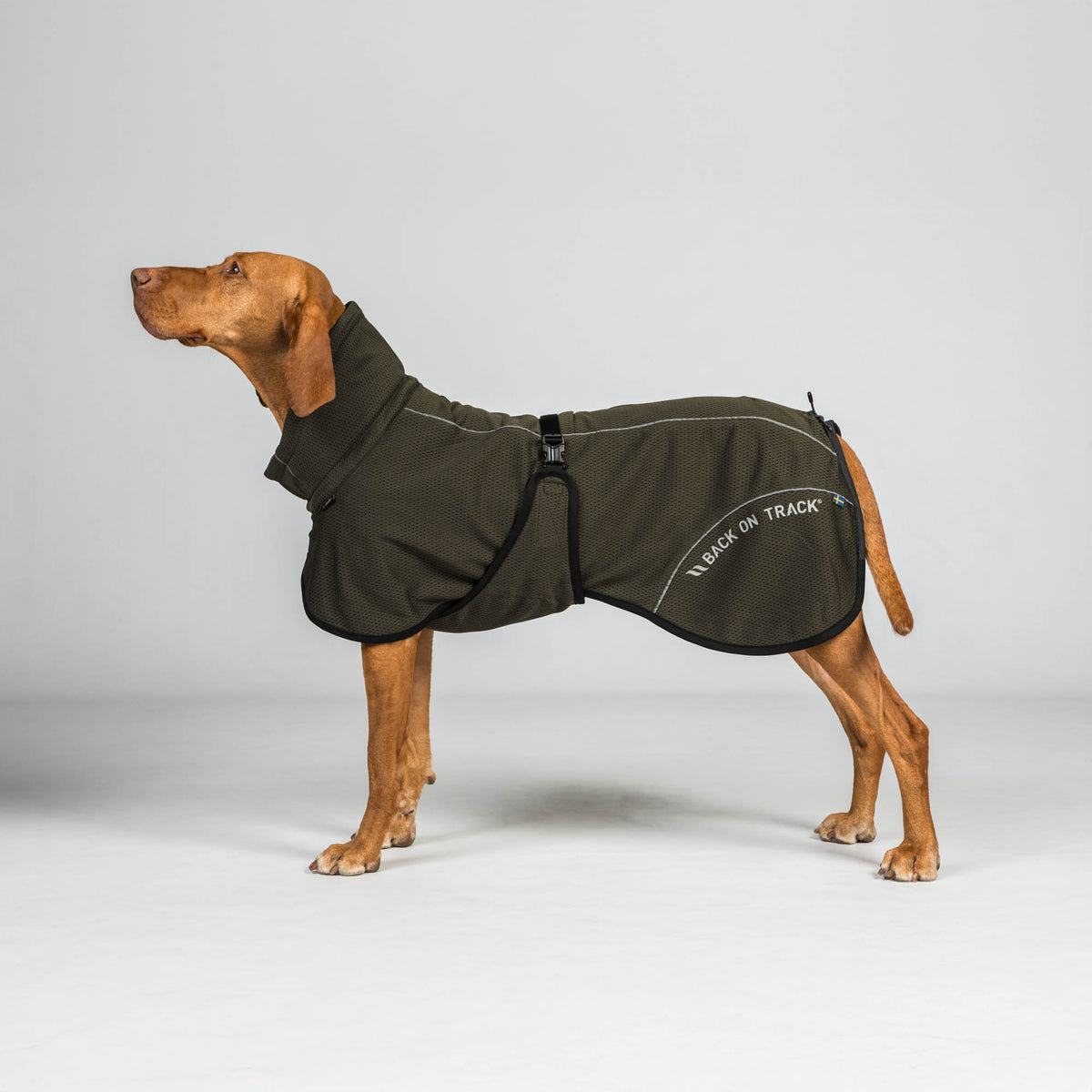 Manteau pour chien BAY Mesh, Queue haute