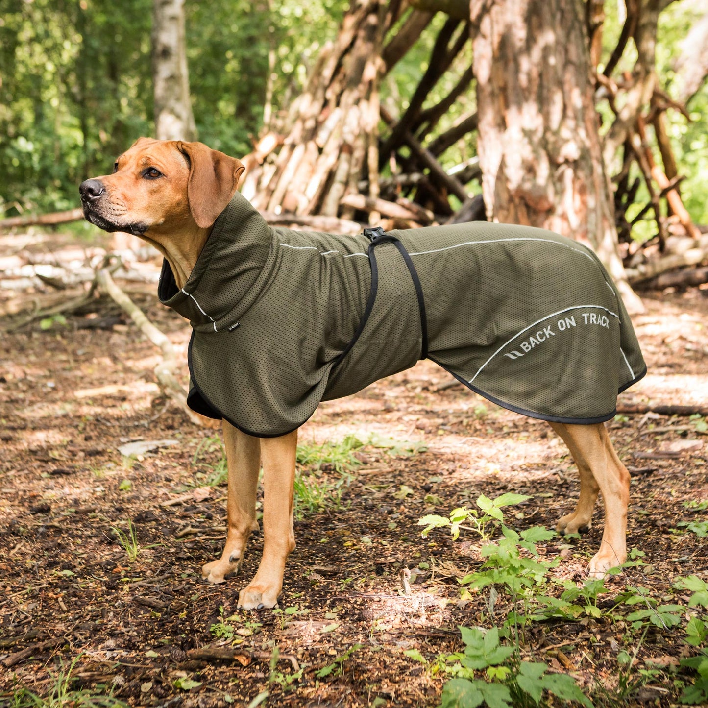 Manteau pour chien BAY Mesh, Queue portée bas