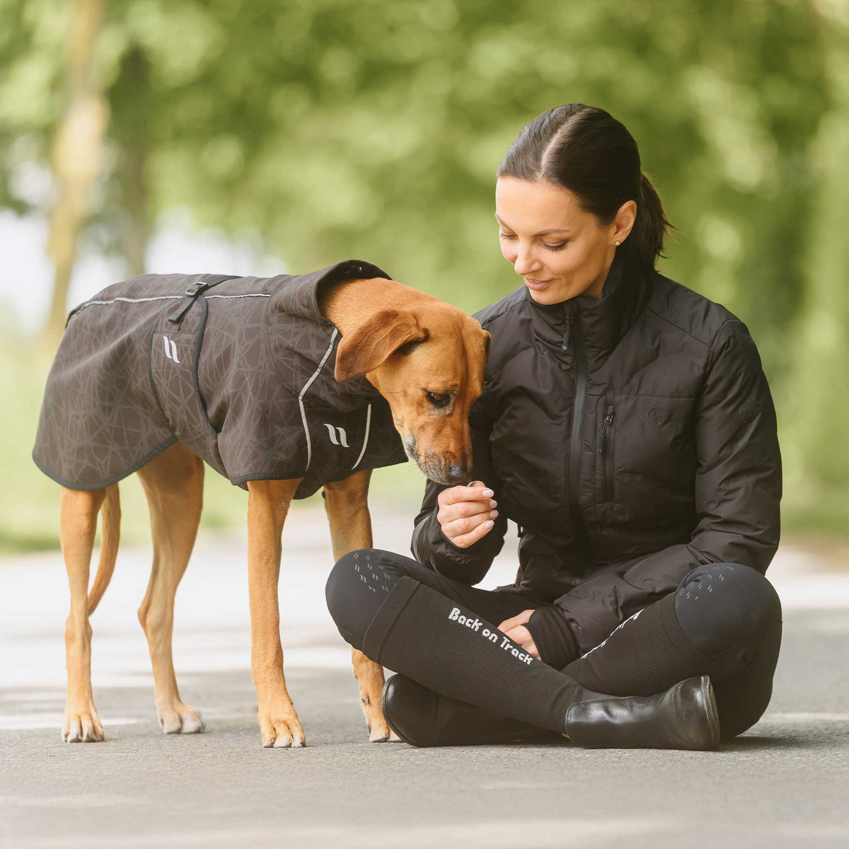 BARK - Cappotto softshell per cani, coda bassa
