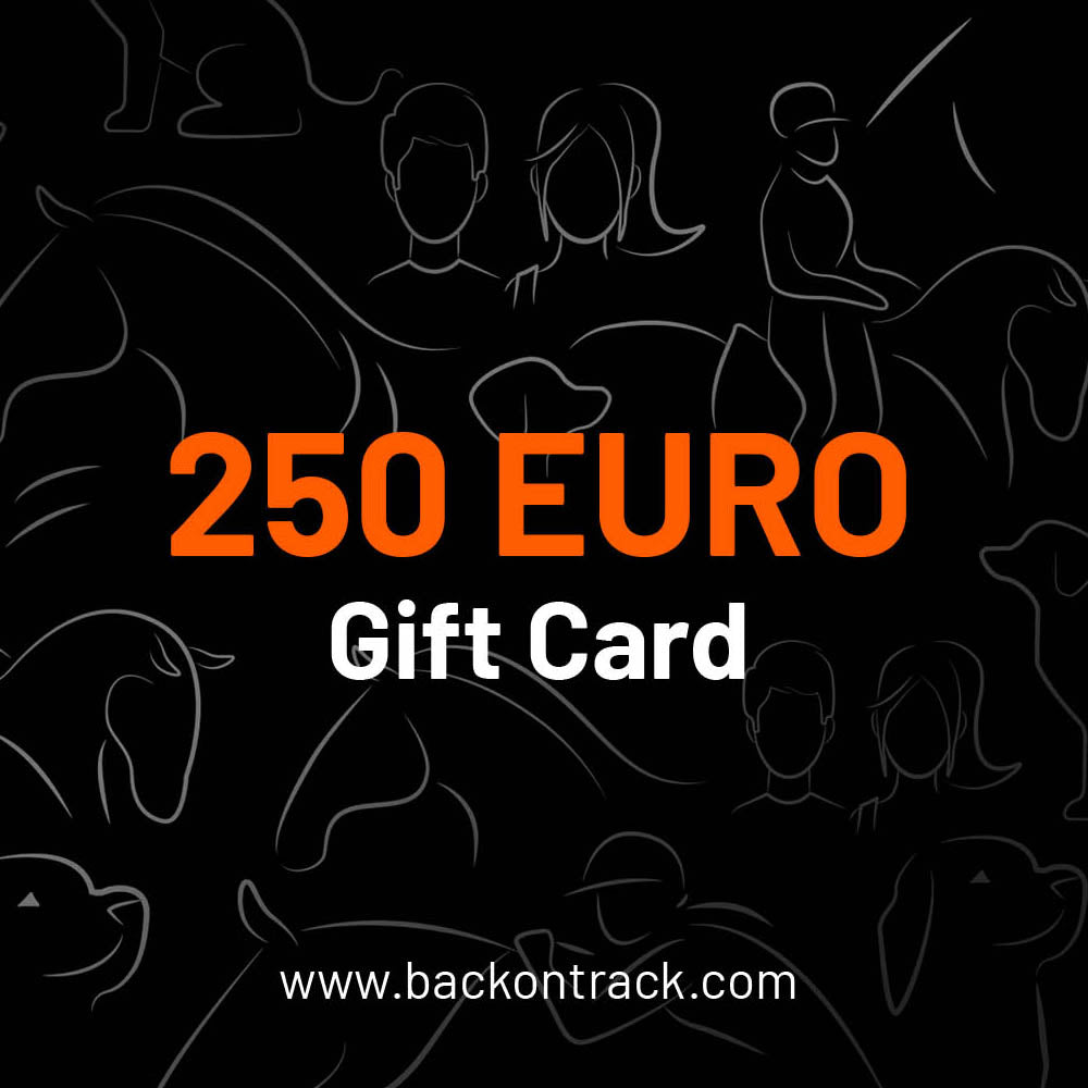 Choisissez la valeur de votre carte-cadeau