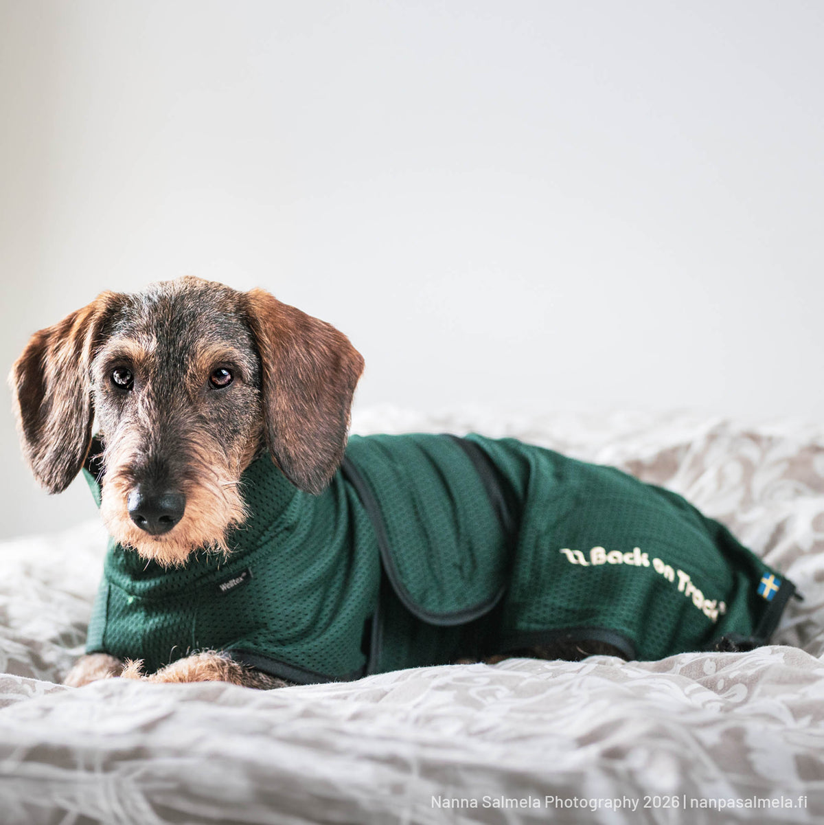 Cappotto Lungo per Cane in Mesh "Buddy"