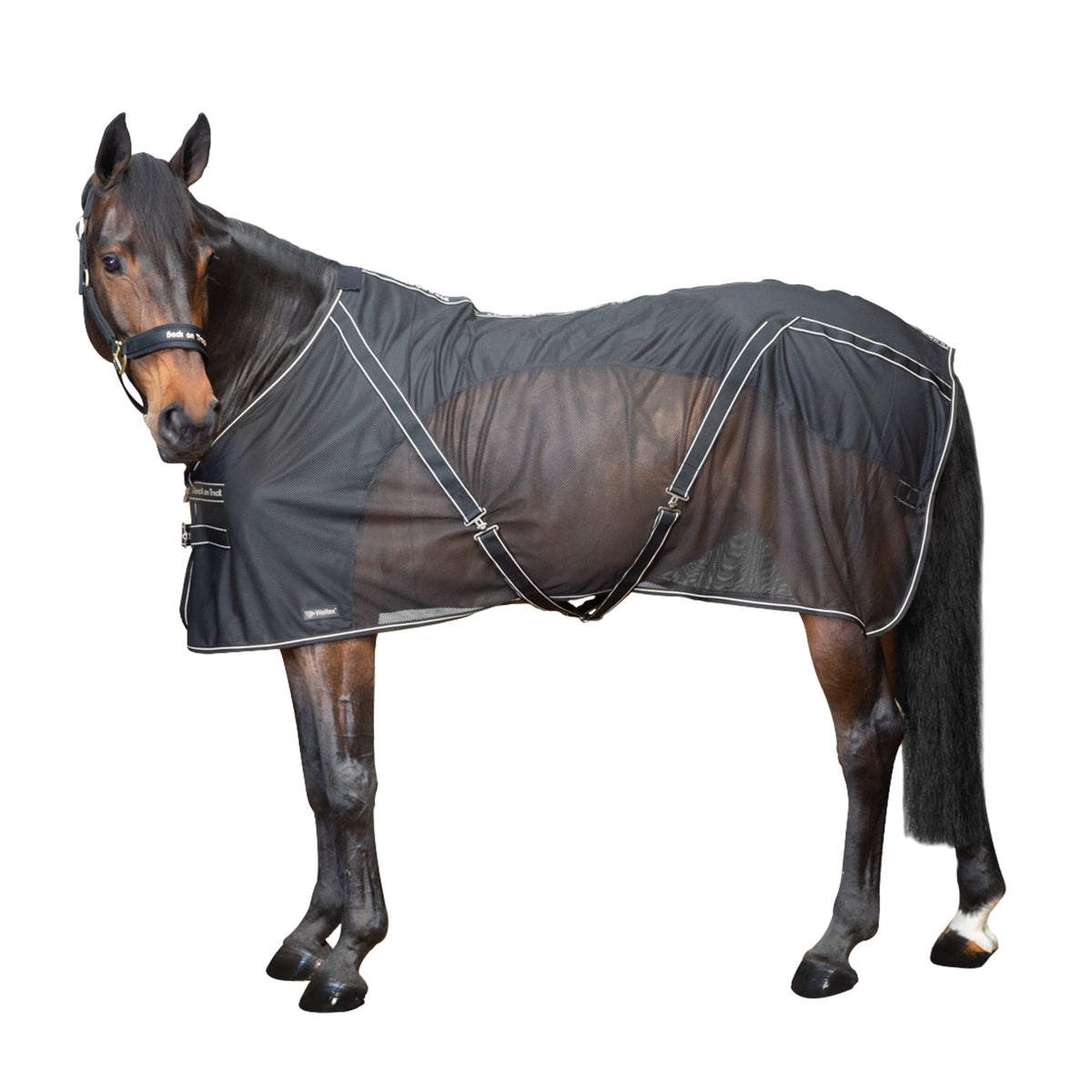Chemise D'équitation Irideon Pour Homme, Taille Medium (occasion)
