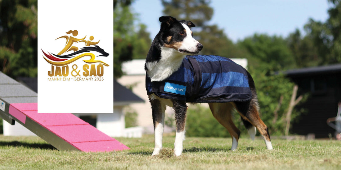 Junior & Senior Agility Open Championships: 10th – 12th of July 2026