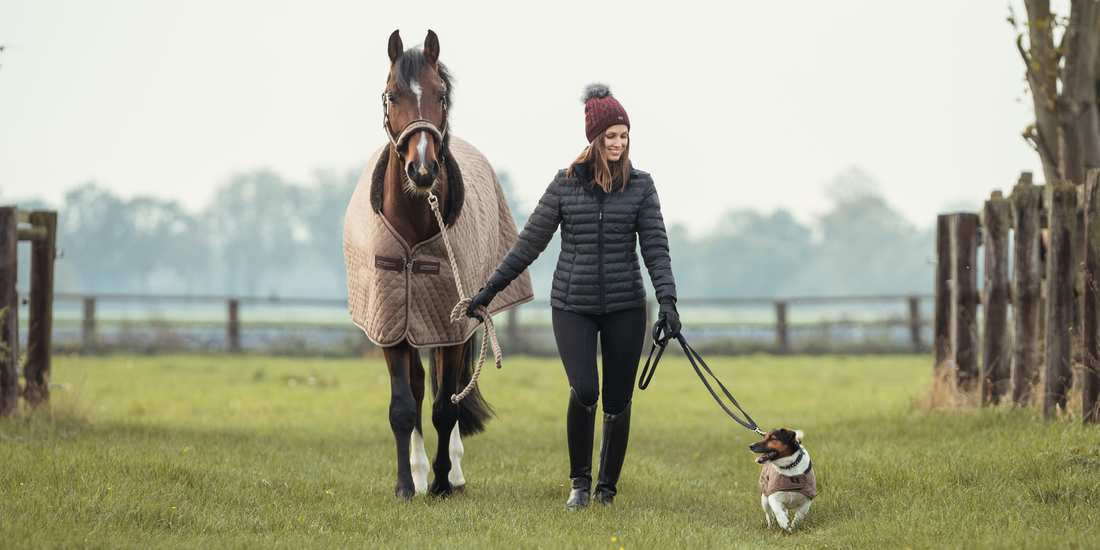 Autumn Must-haves: Horse Rugs