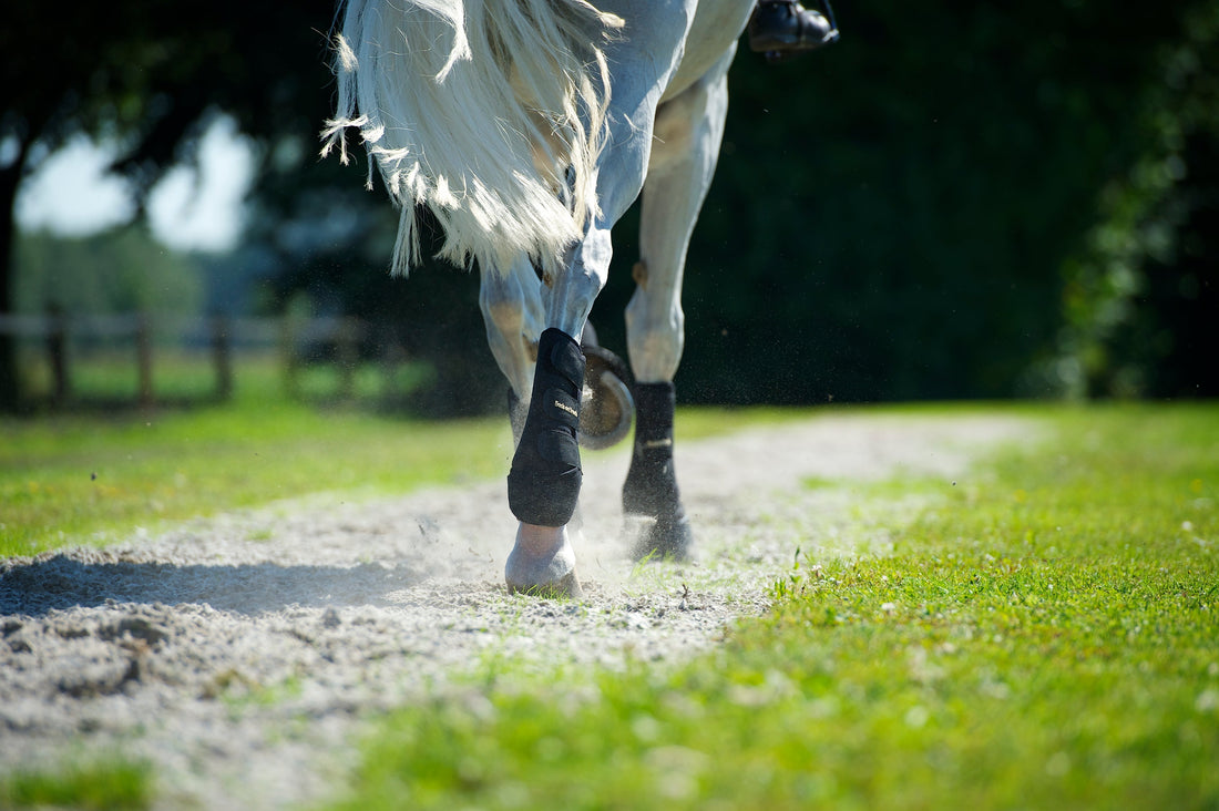 FIR in horse boots - unrelated to overheating