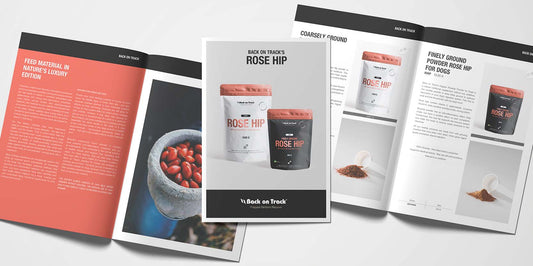 Back on Track's Rose Hip