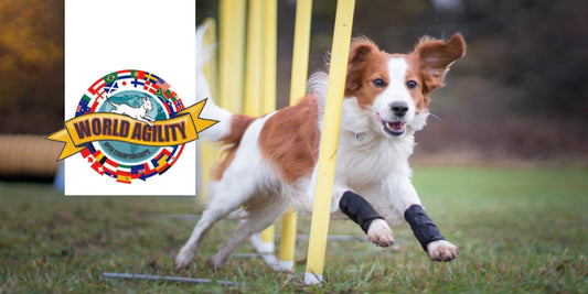 World Agility Open 2025 14/05 - 18/05