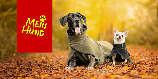 MEIN HUND MESSE: 31.10.-01.11.2026