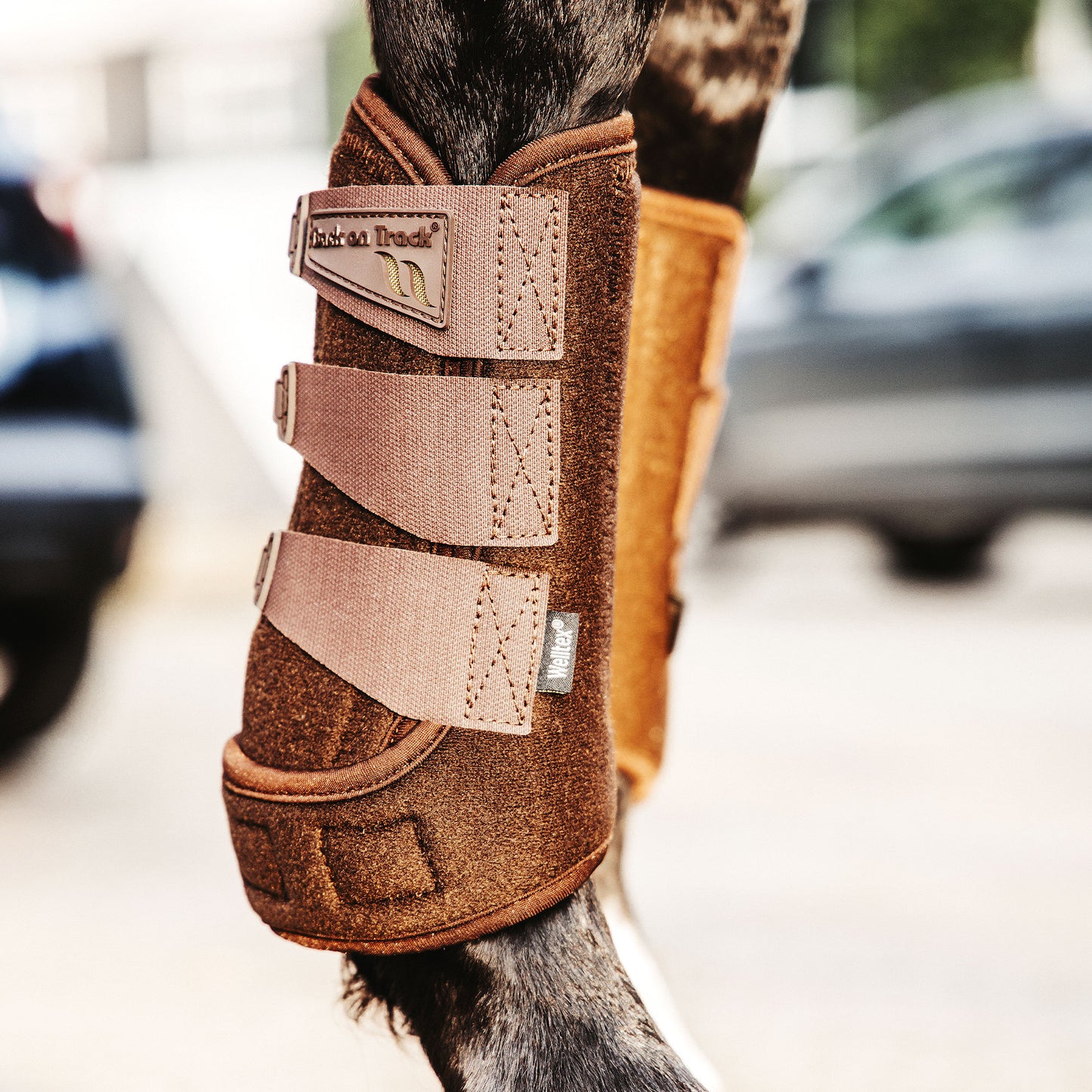 "Airflow" Exercise Boots
