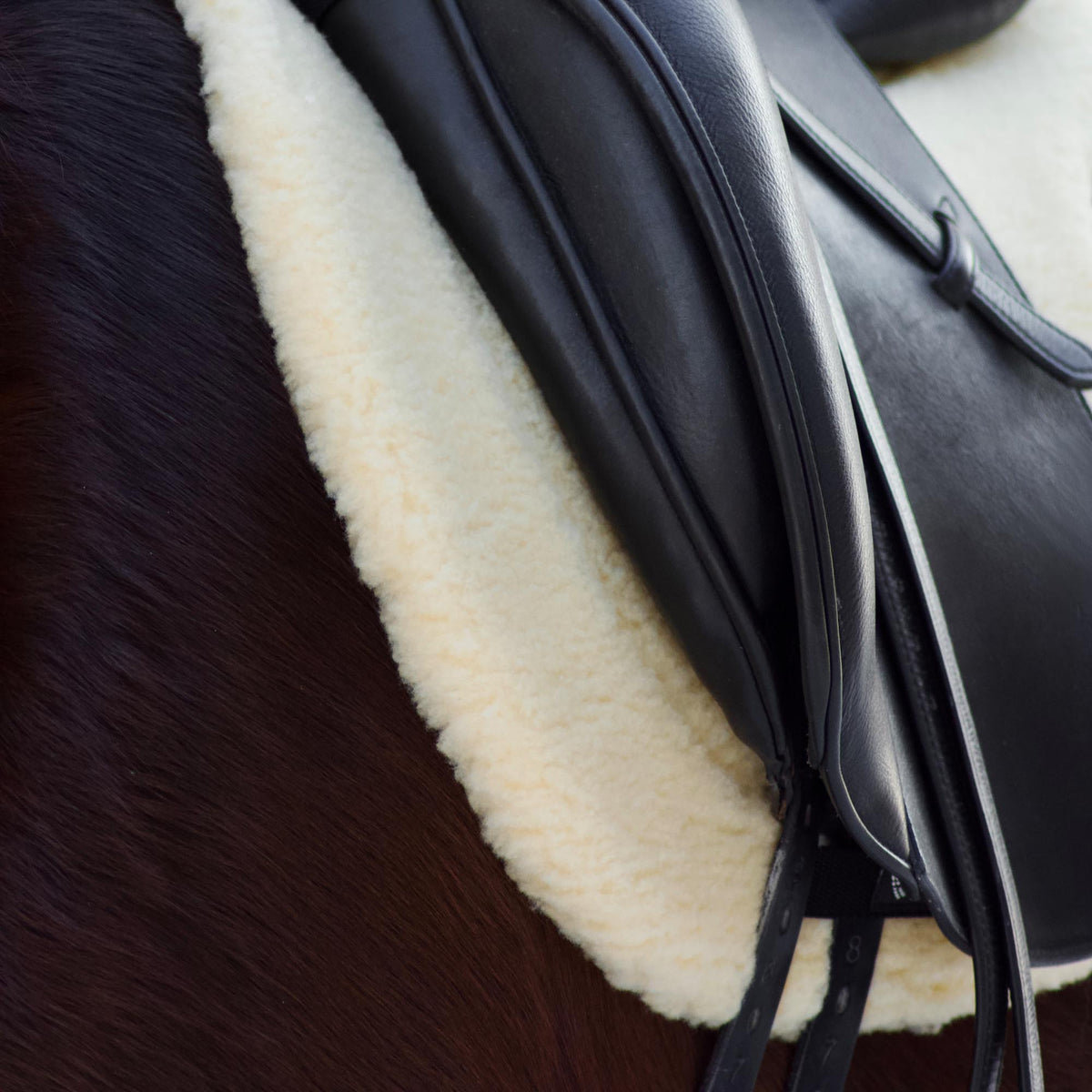 Tapis de selle Teddy