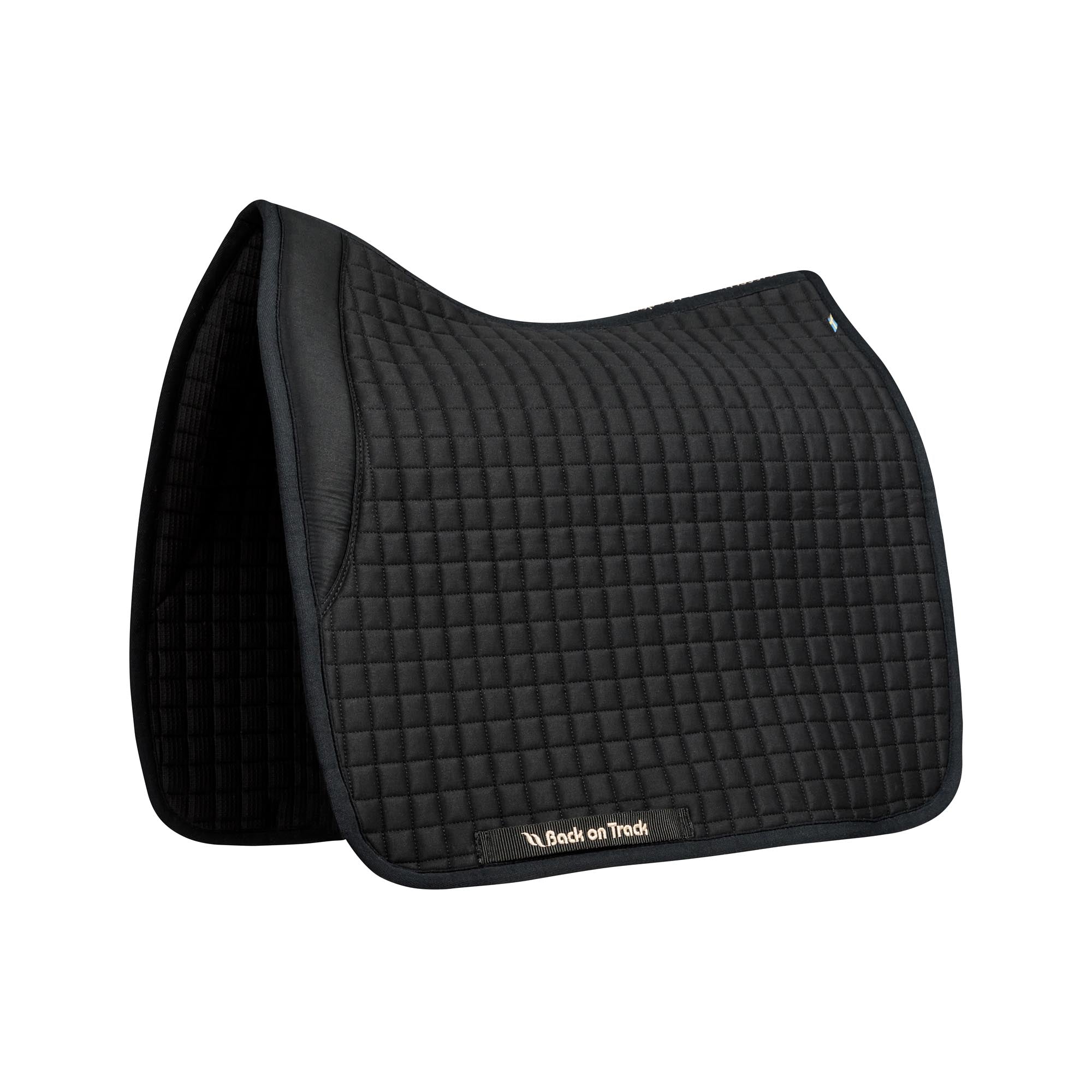 Tapis Dressage No. III