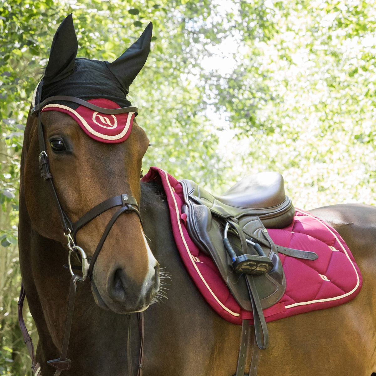 Nights Collection Bonnet