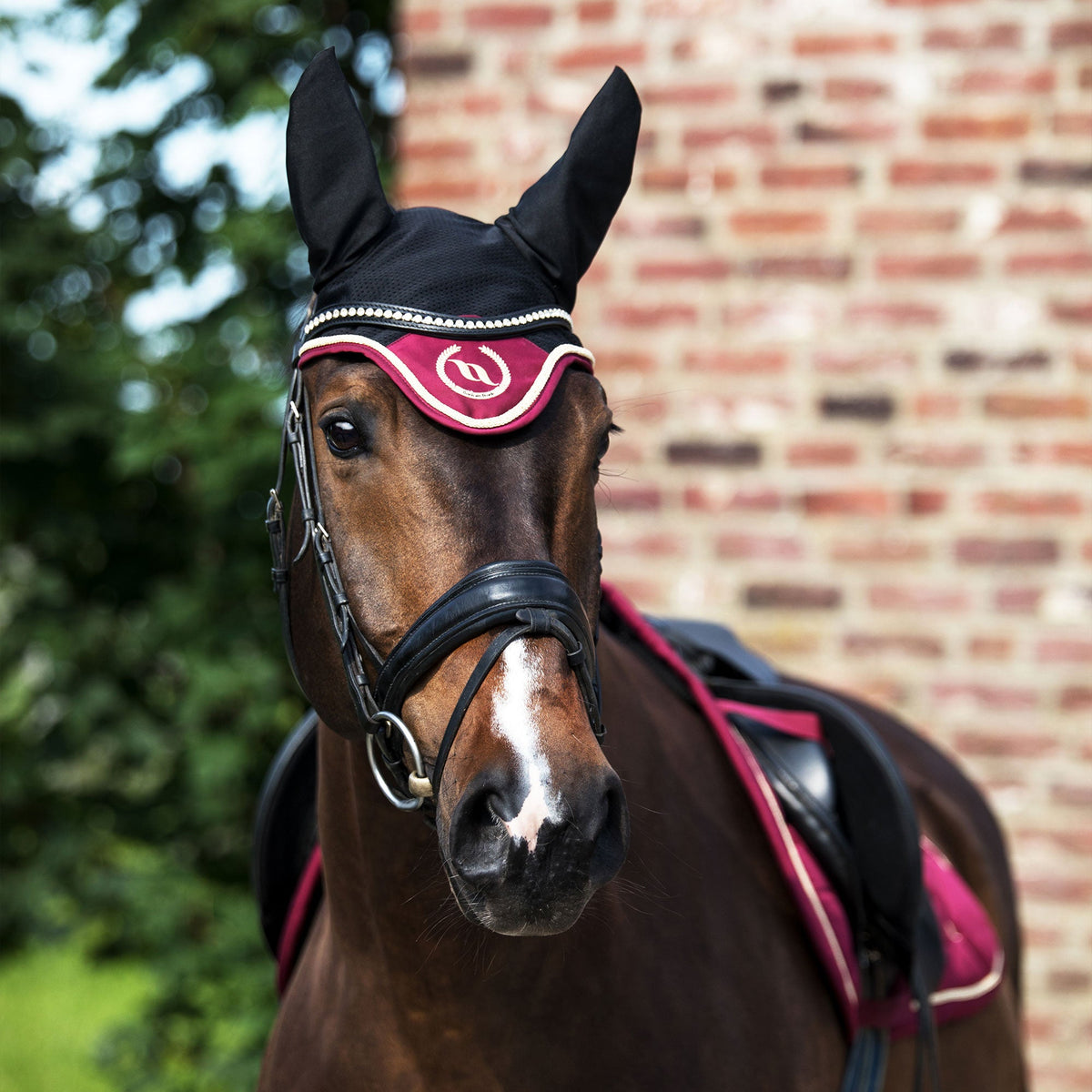 Nights Collection Bonnet