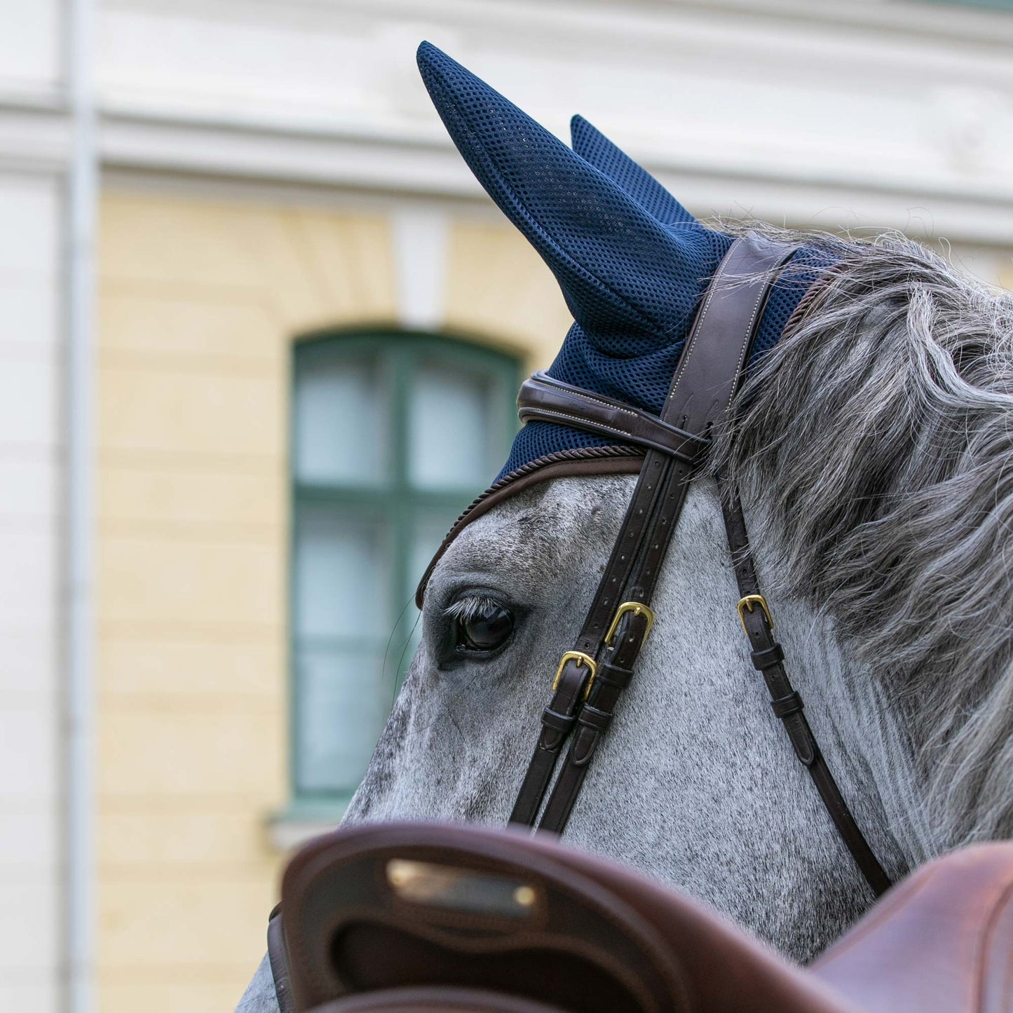 Chapeau de ventilation