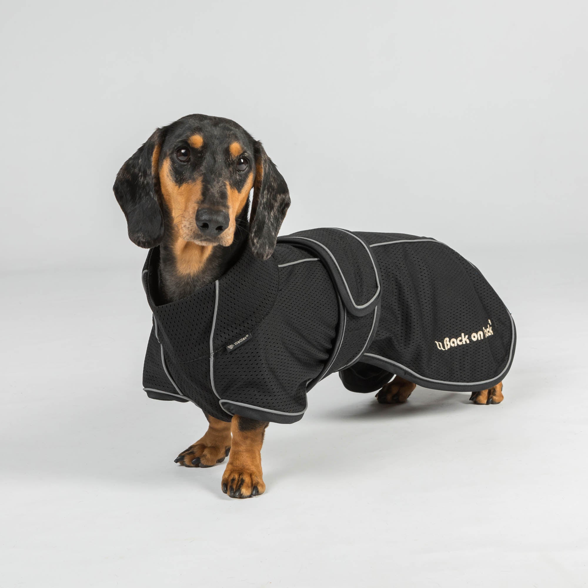 BUDDY 2.0 Manteau filet pour chien, queue haute