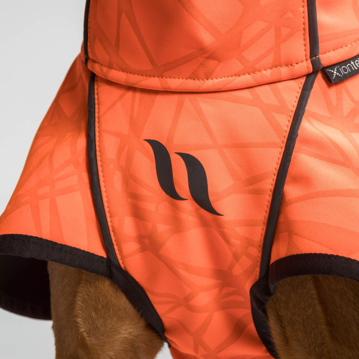 BARK Softshell Dog Coat, High set tail