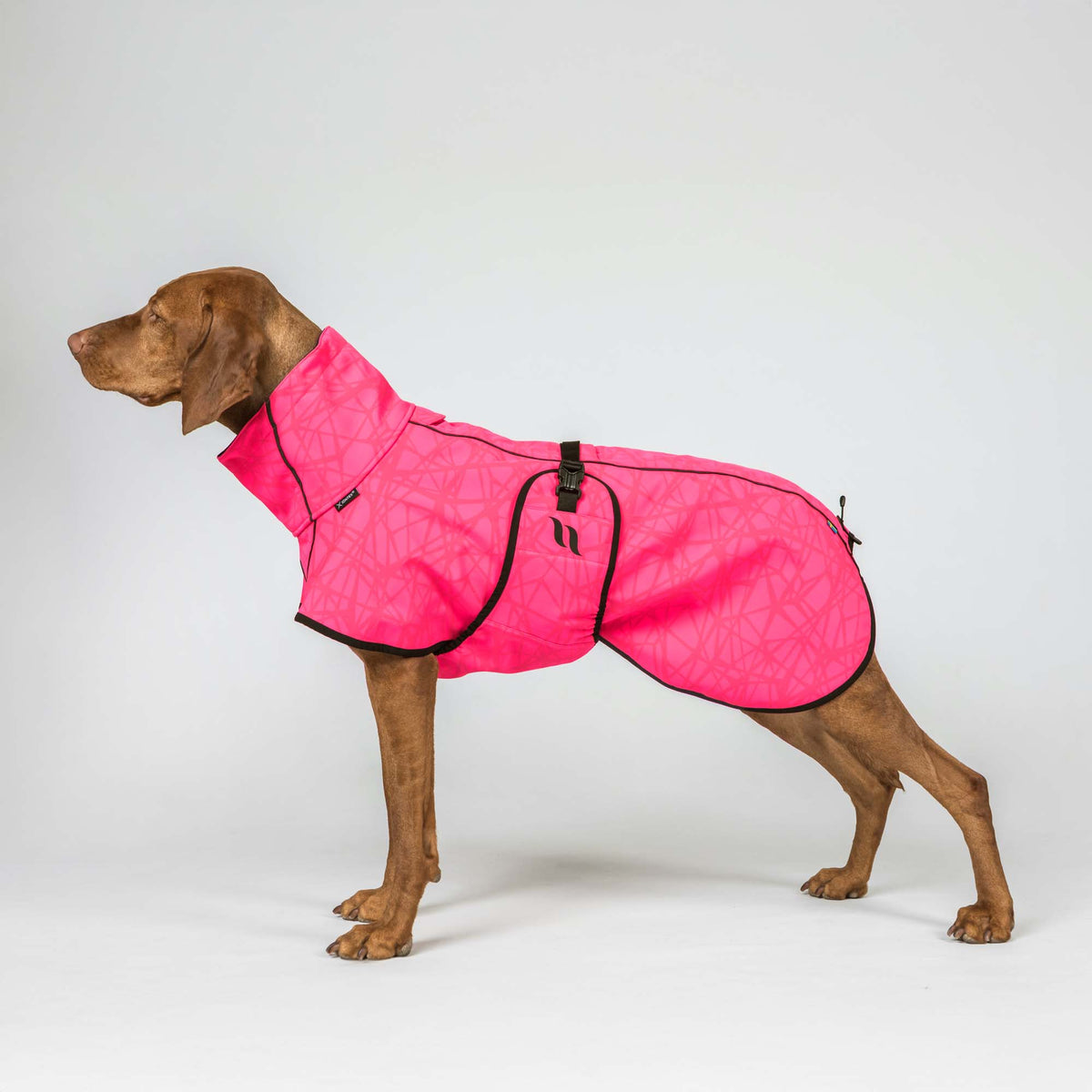 Manteau pour chien BARK Softshell, queue haute