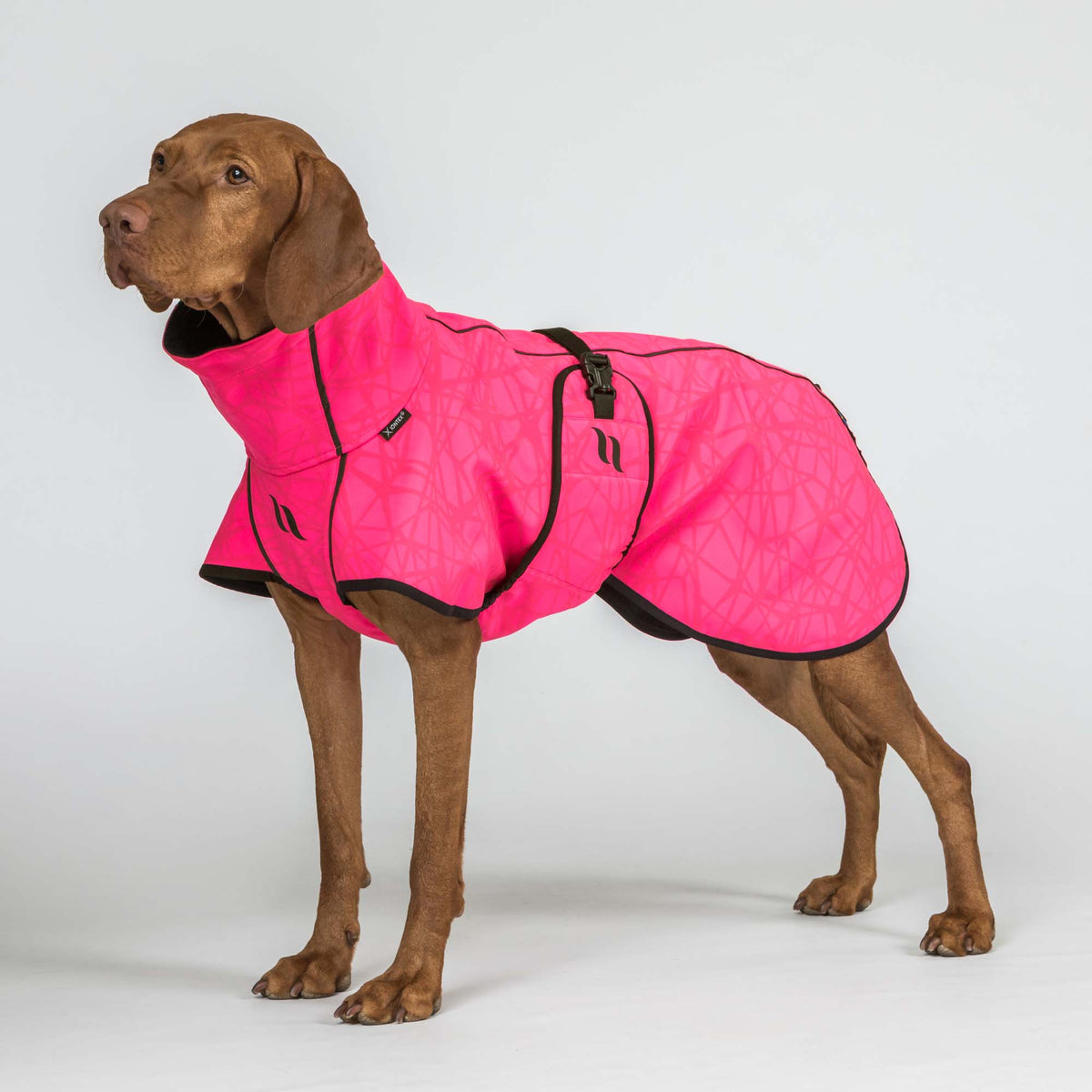 Manteau pour chien BARK Softshell, queue haute