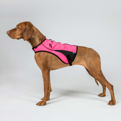 Gilet de visibilité POINT pour chien