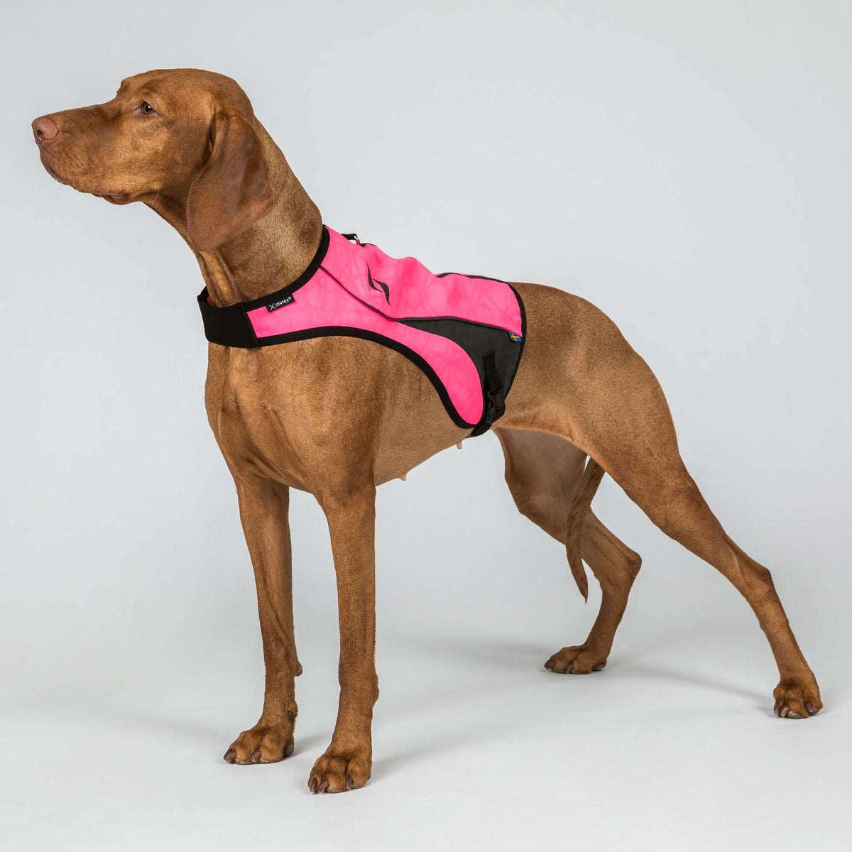 Gilet de visibilité POINT pour chien