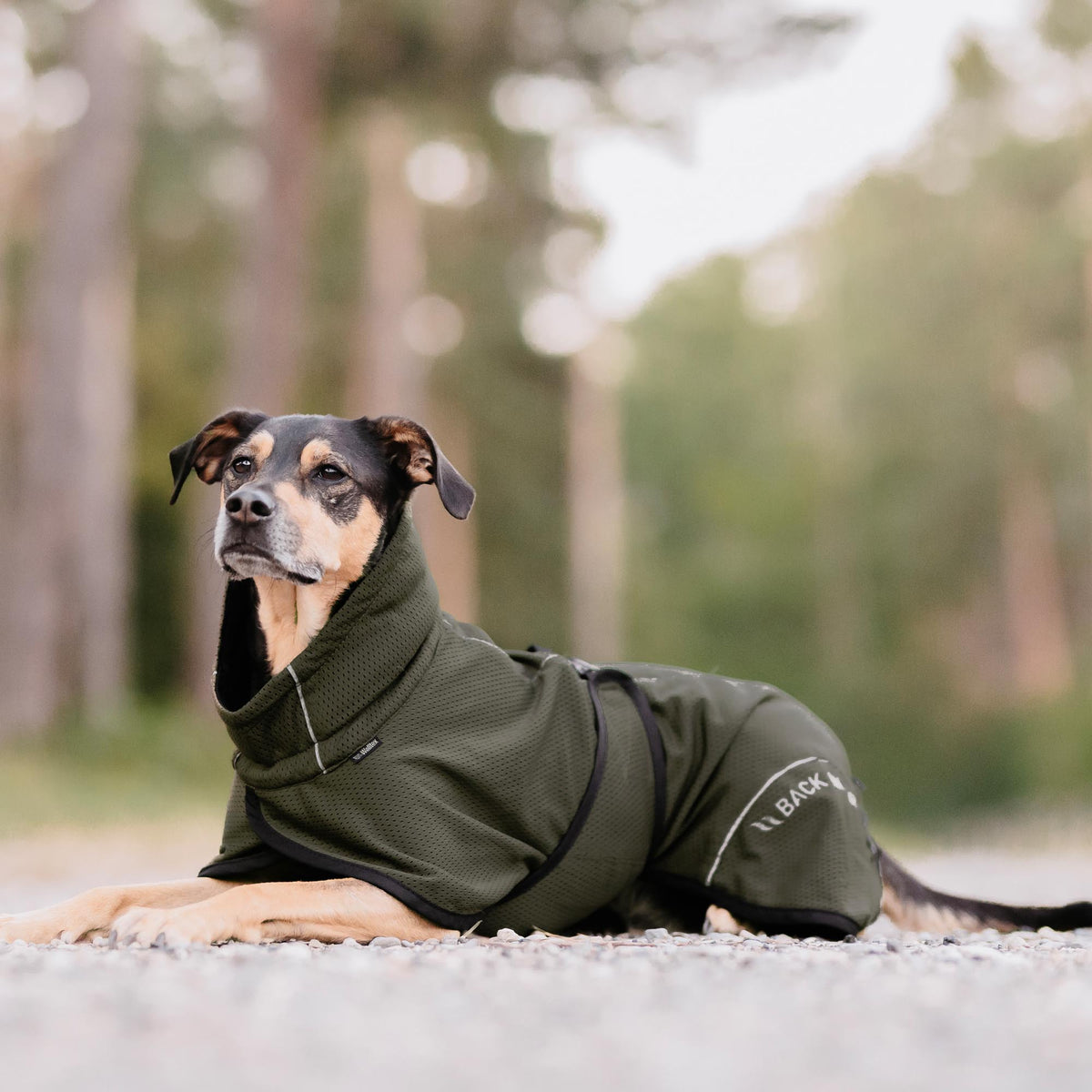 Manteau pour chien BAY Mesh, Queue haute