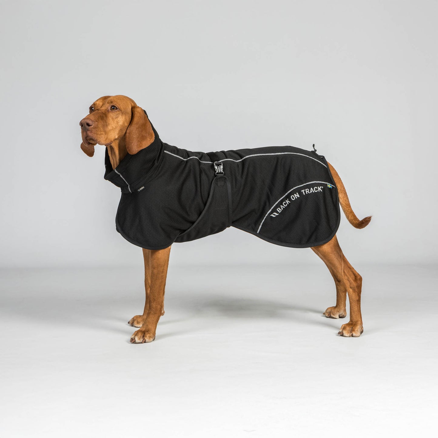 Manteau pour chien BAY Mesh, Queue haute