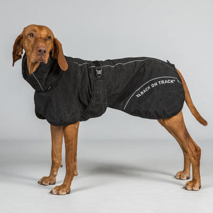 Manteau imperméable BAY pour chien – Queue relevée