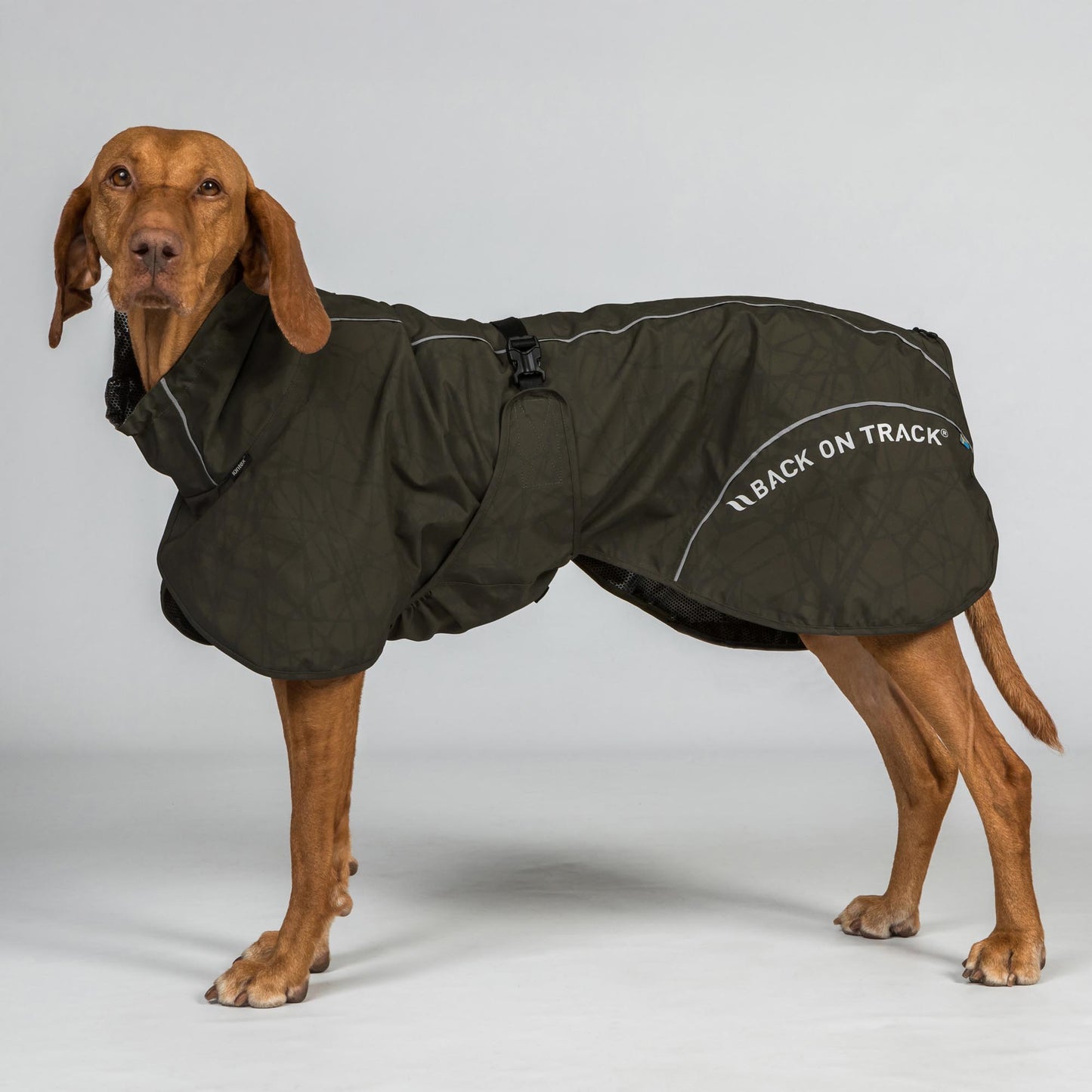 Manteau imperméable BAY pour chien – Queue relevée