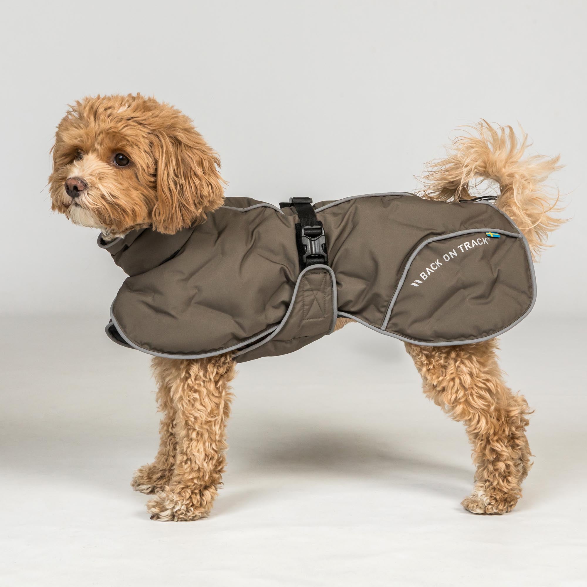 BAY Manteau thermique pour chien, queue haute