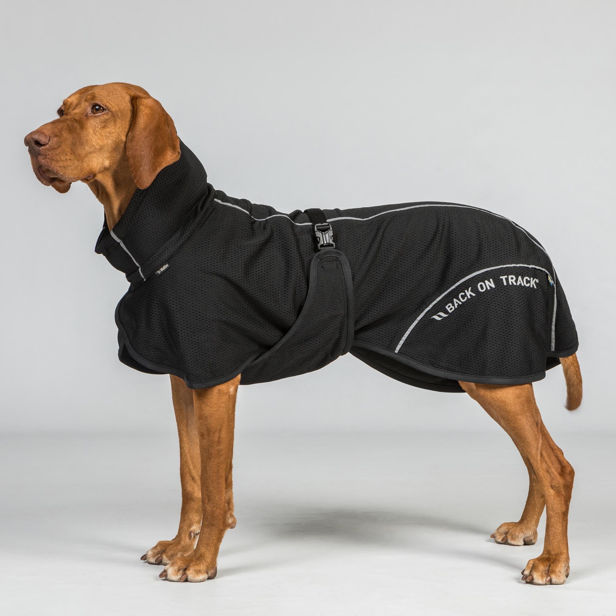 BAY Manteau filet, queue basse