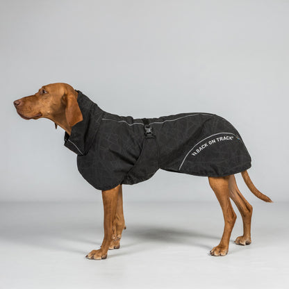 BAY Regenjas voor Honden, Laag aangezette staart