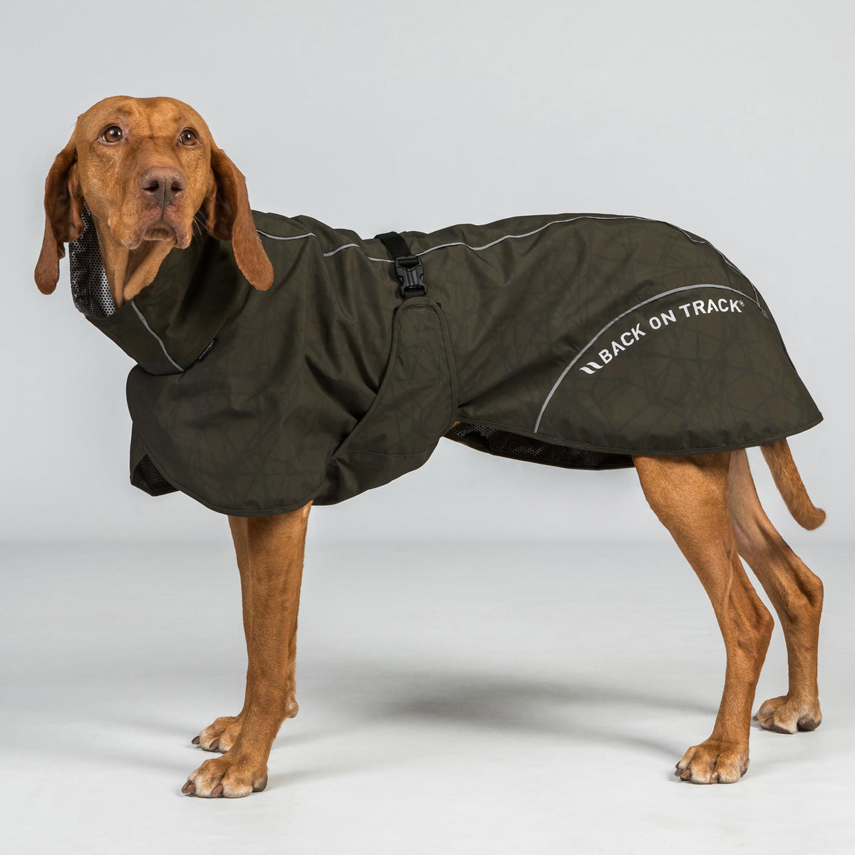 BAY Regenjas voor Honden, Laag aangezette staart