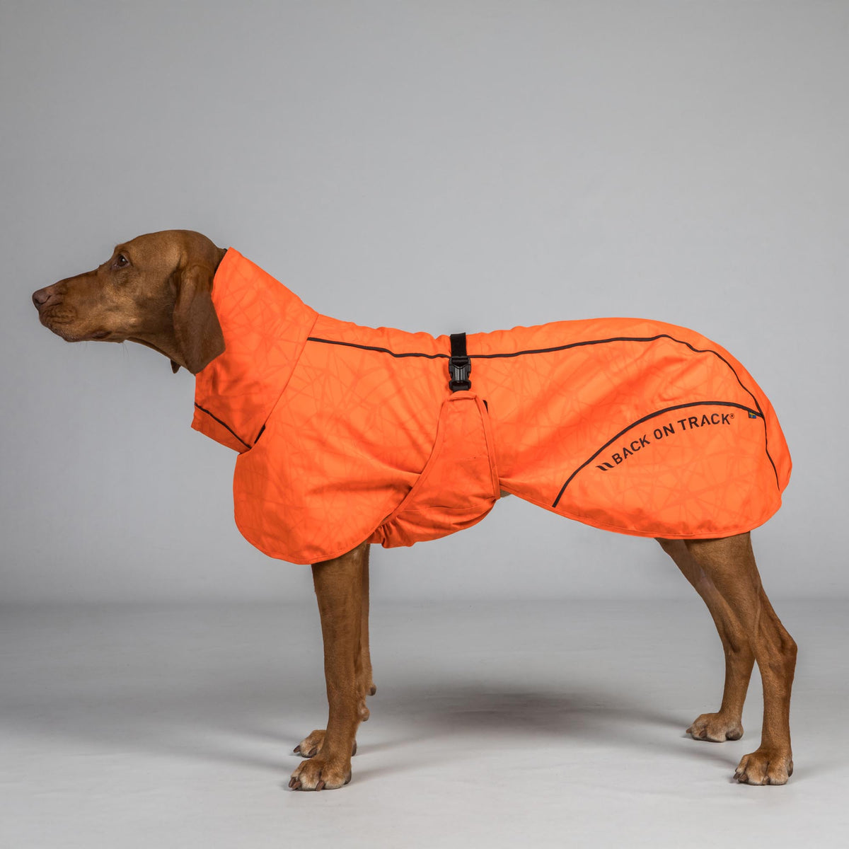 BAY Regenjas voor Honden, Laag aangezette staart