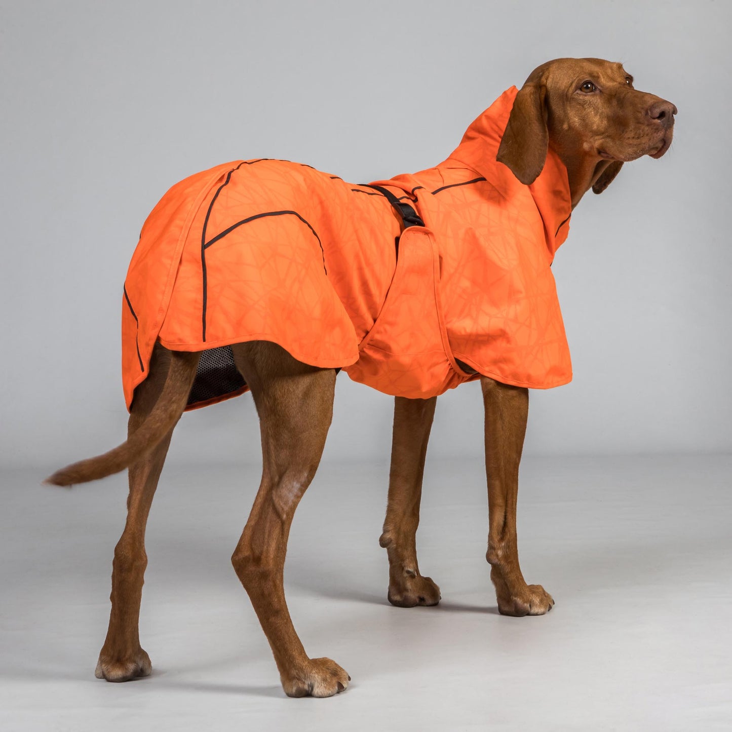 BAY Regenjas voor Honden, Laag aangezette staart