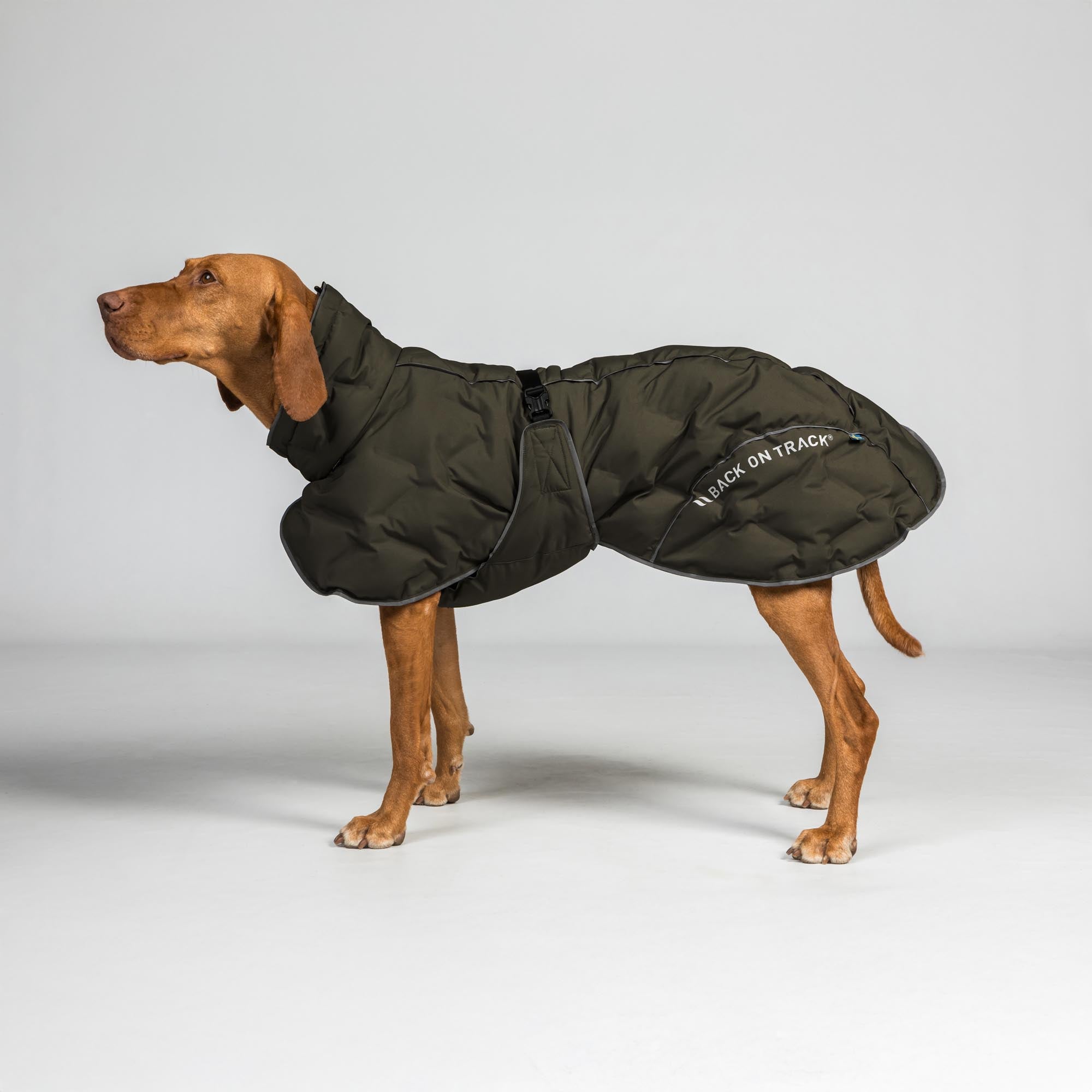 BAY Manteau thermique pour chien, queue basse