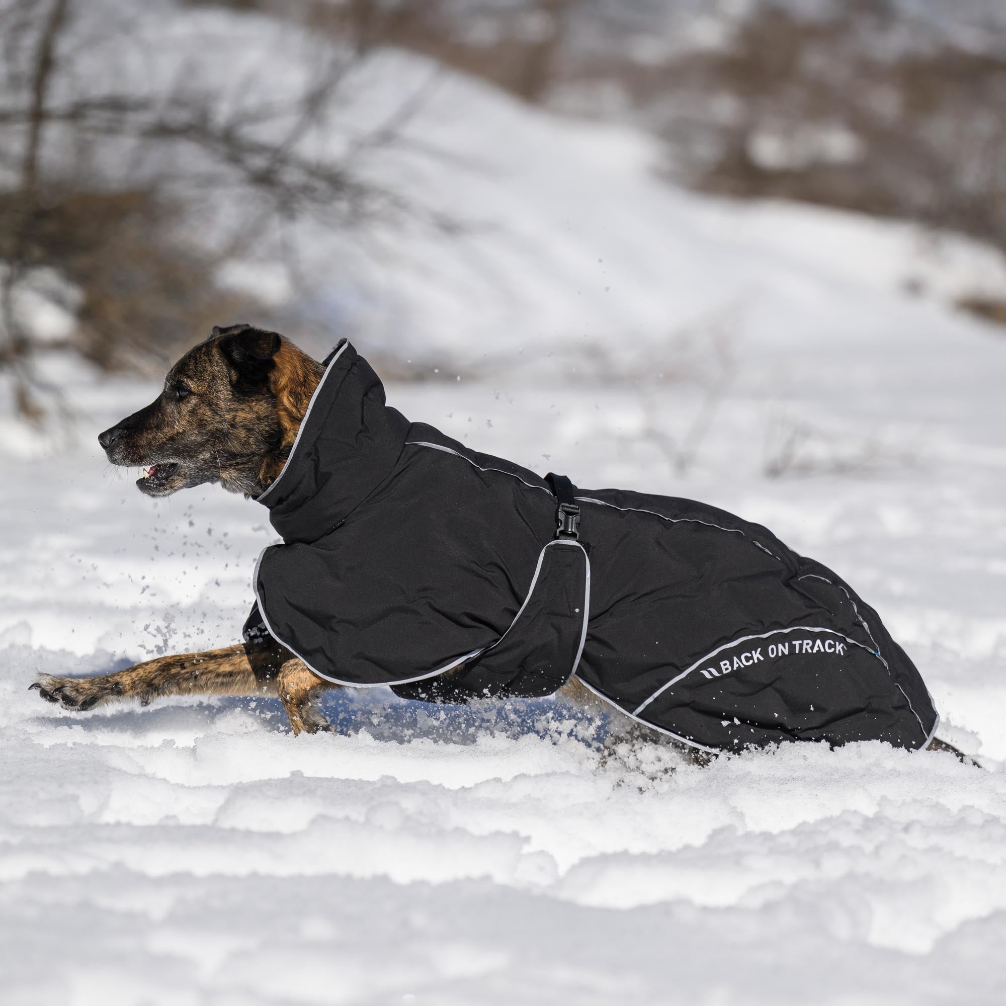 BAY Manteau thermique pour chien, queue basse