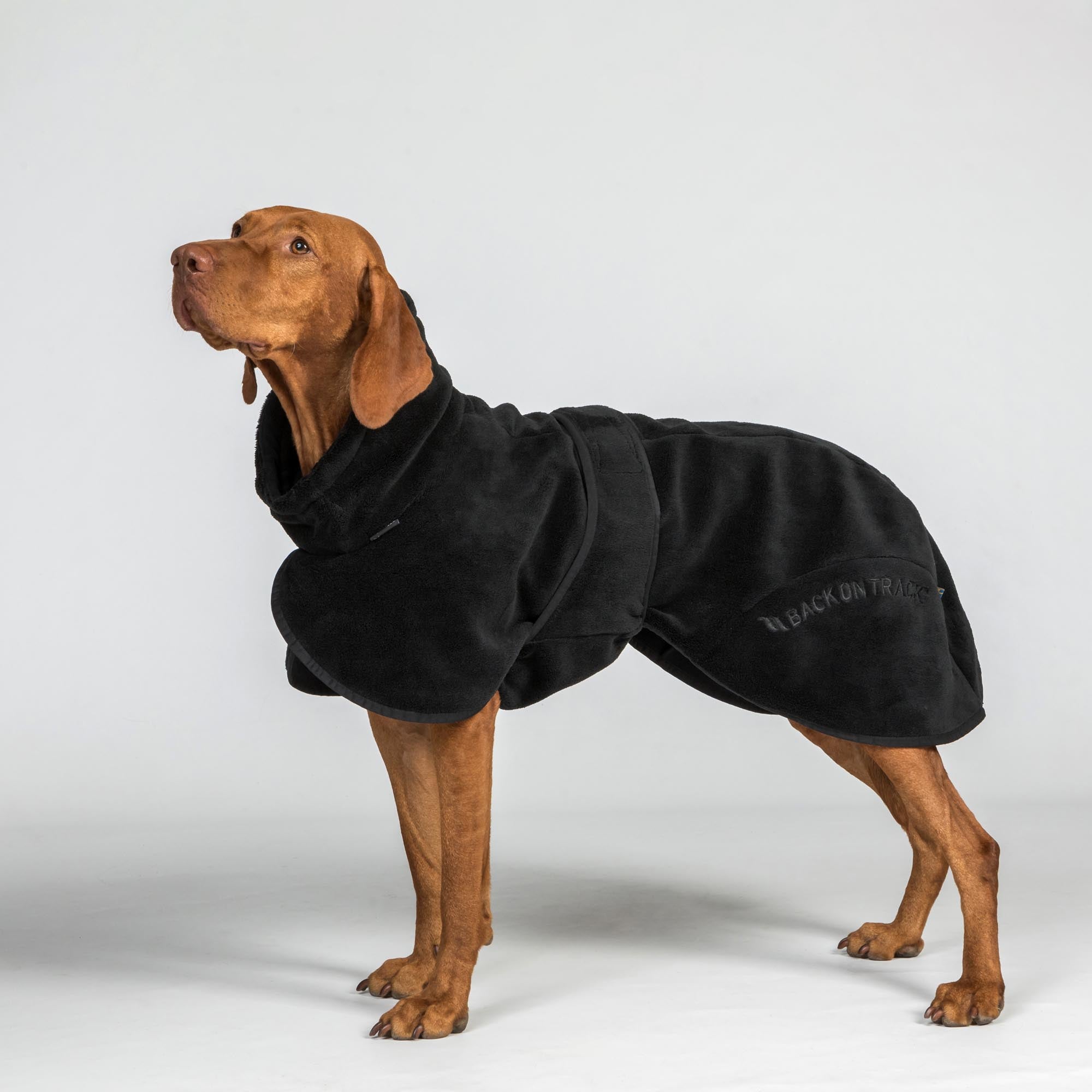 BAY Manteau séchant pour chien, queue basse