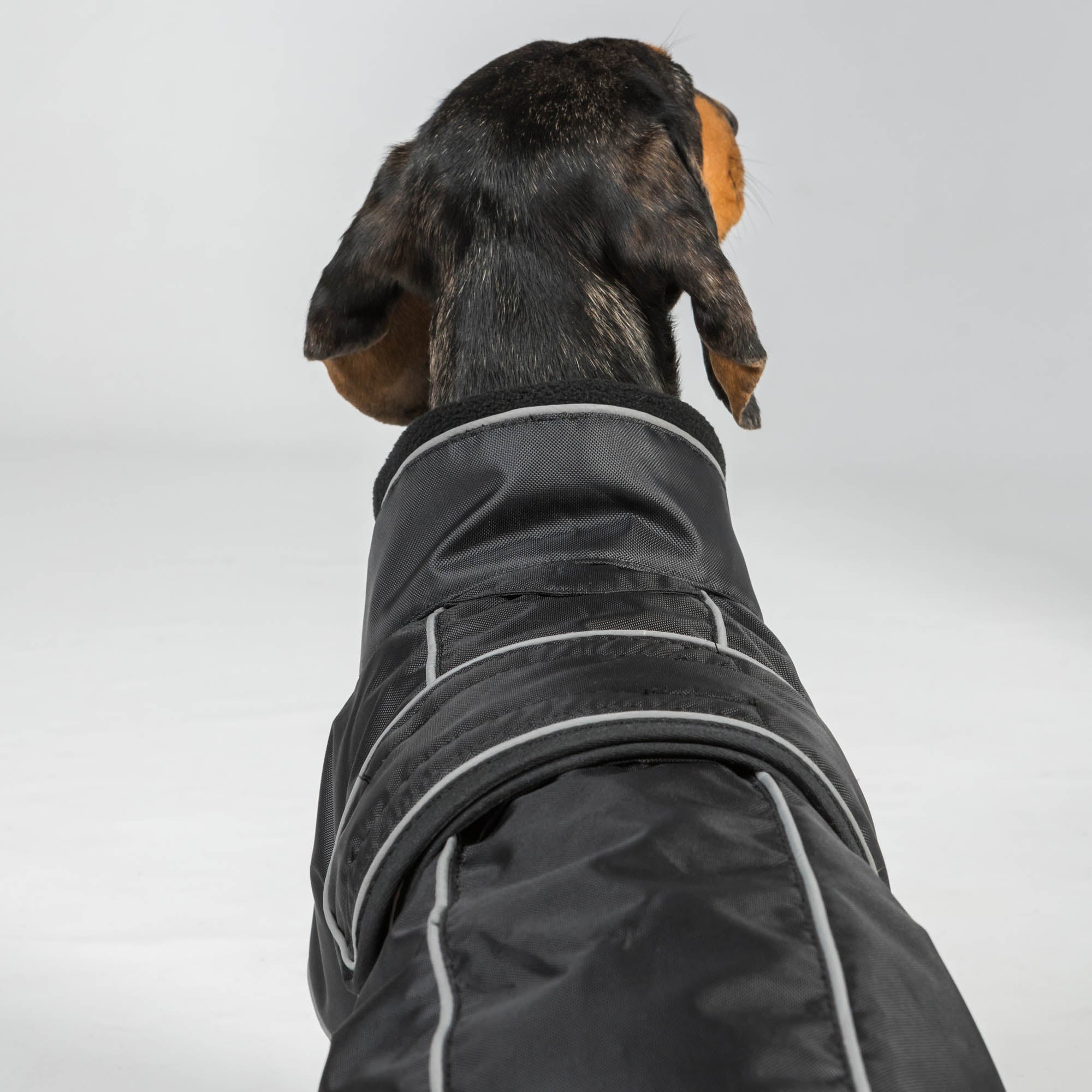 BUDDY 2.0 Manteau thermique pour chien, queue haute