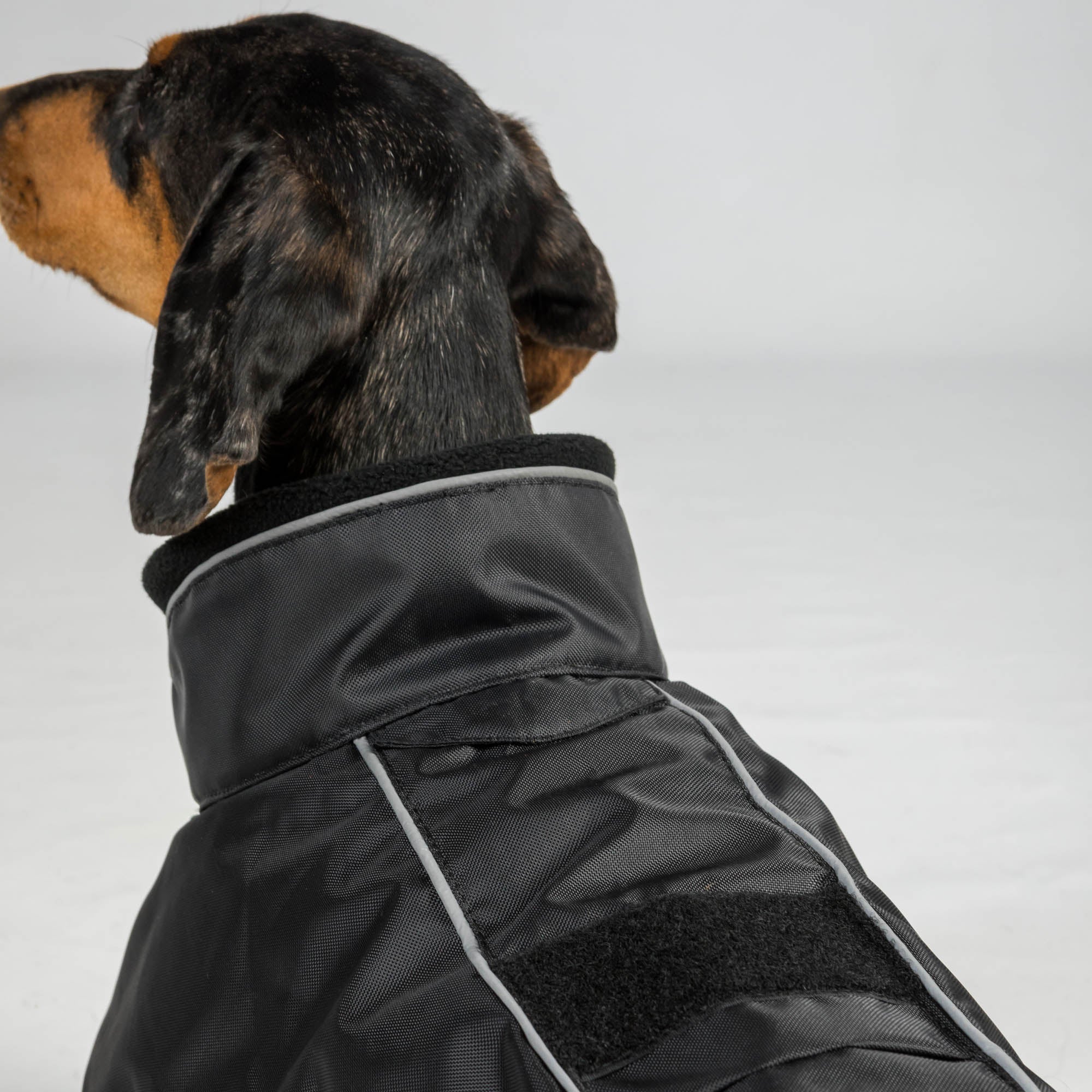 BUDDY 2.0 Manteau thermique pour chien, queue haute