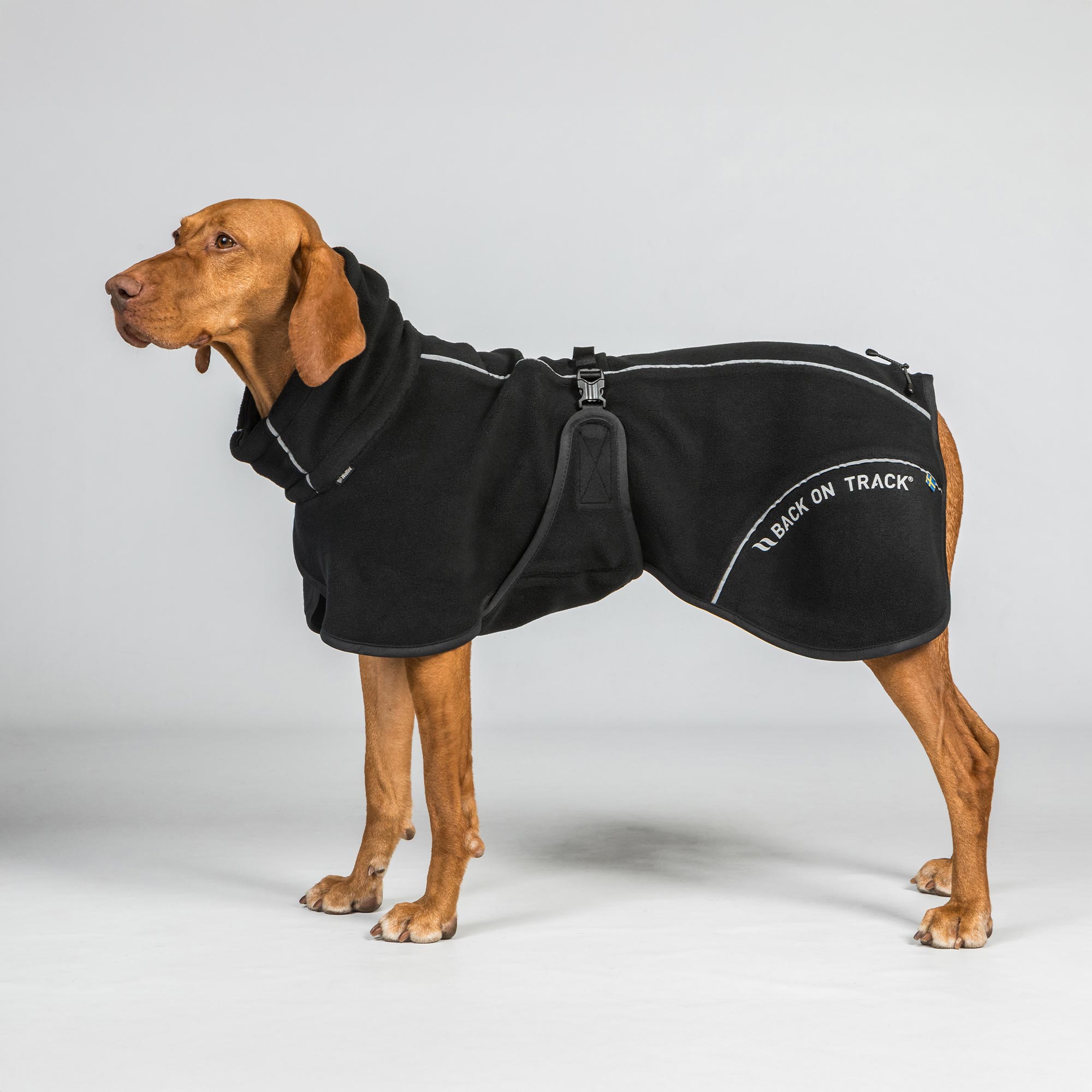 BAY Manteau Polaire pour chien, queue haute