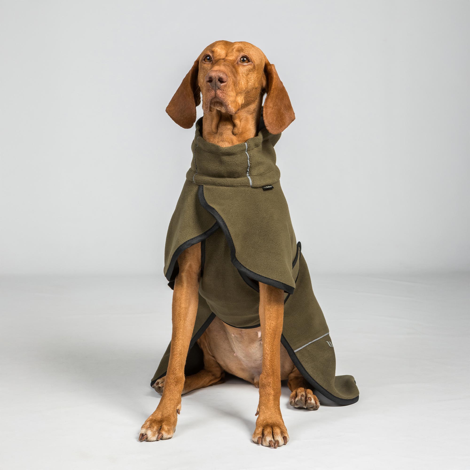 BAY Manteau Polaire pour chien, queue haute