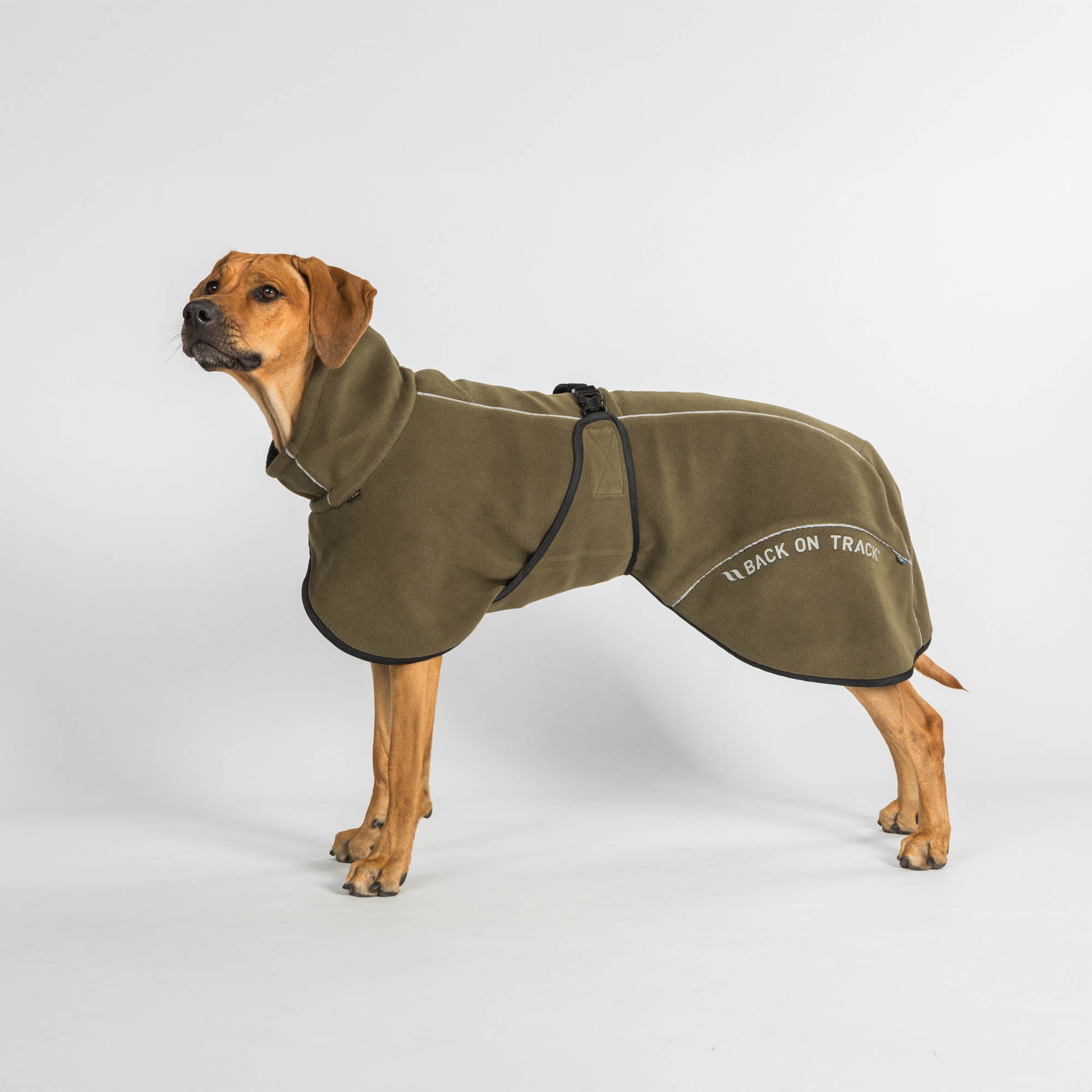 BAY Manteau polaire, queue basse