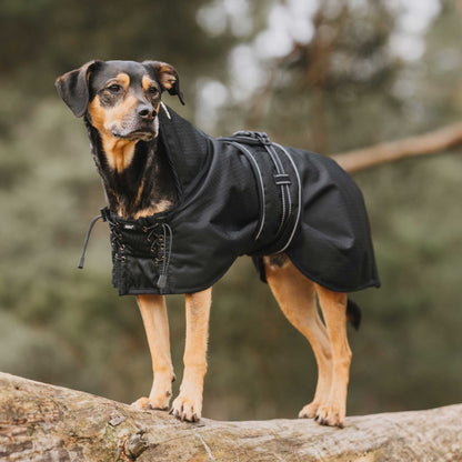 Dog Rain Coat with Filling
