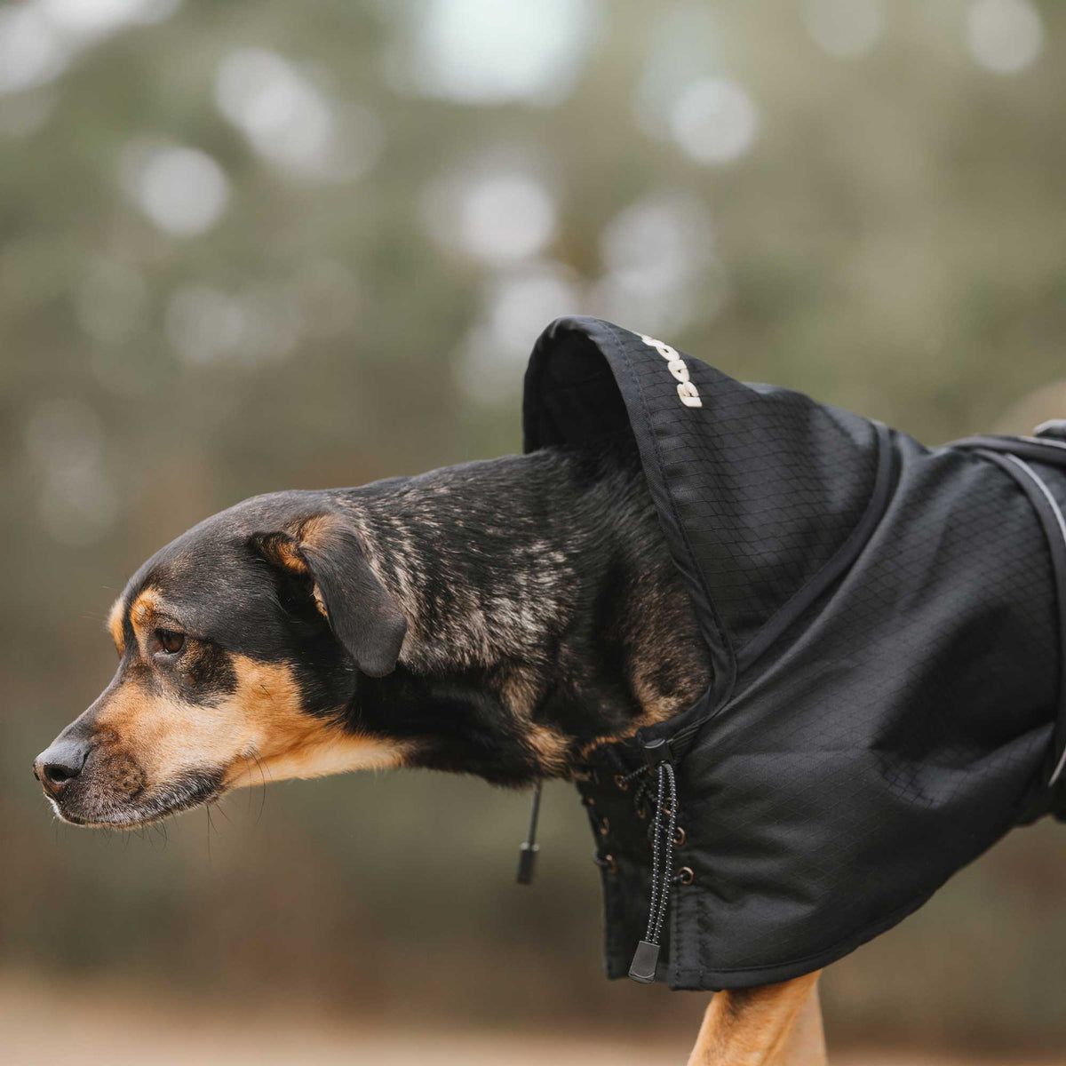 Dog Rain Coat with Filling