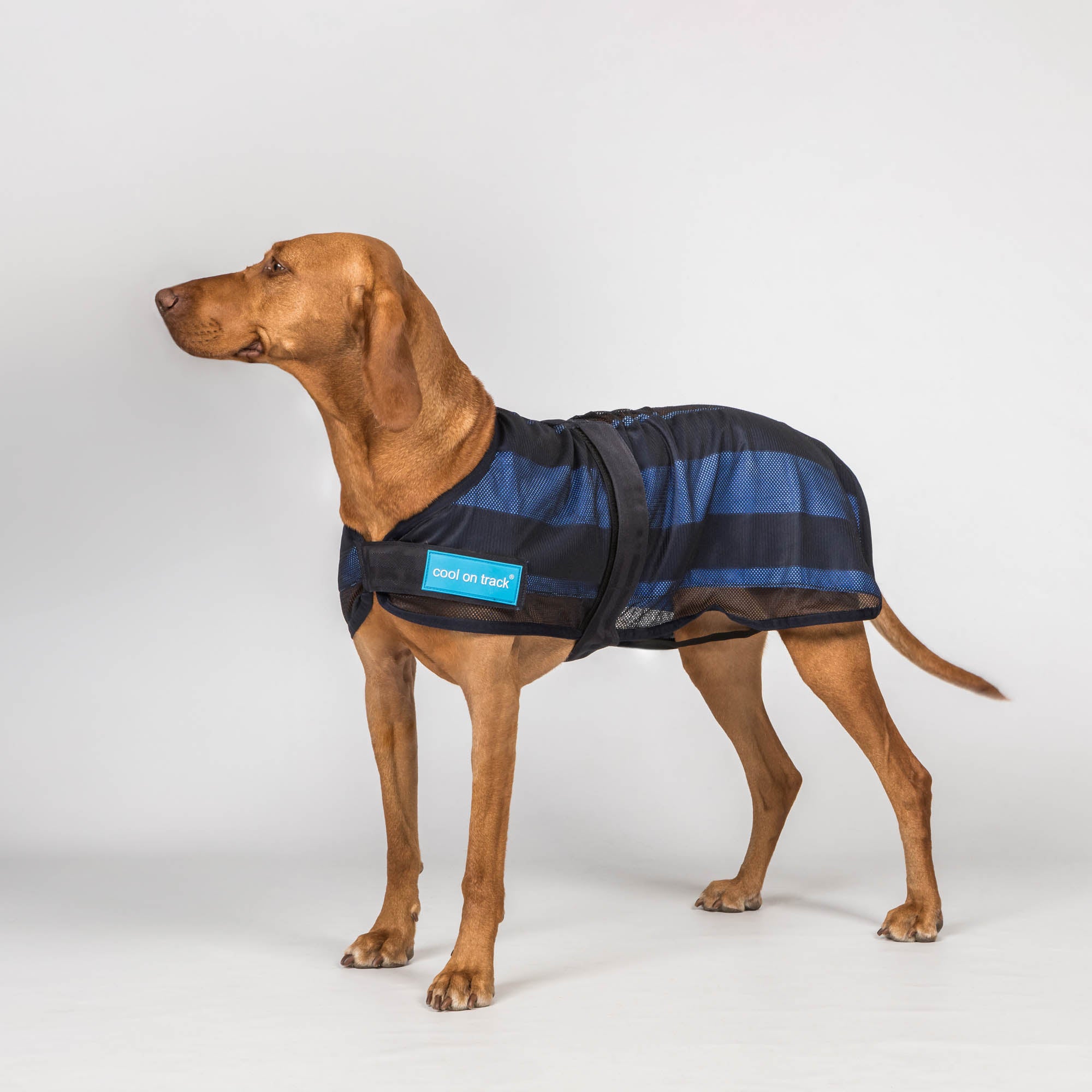 Manteau pour chien Cool on Track 2.0