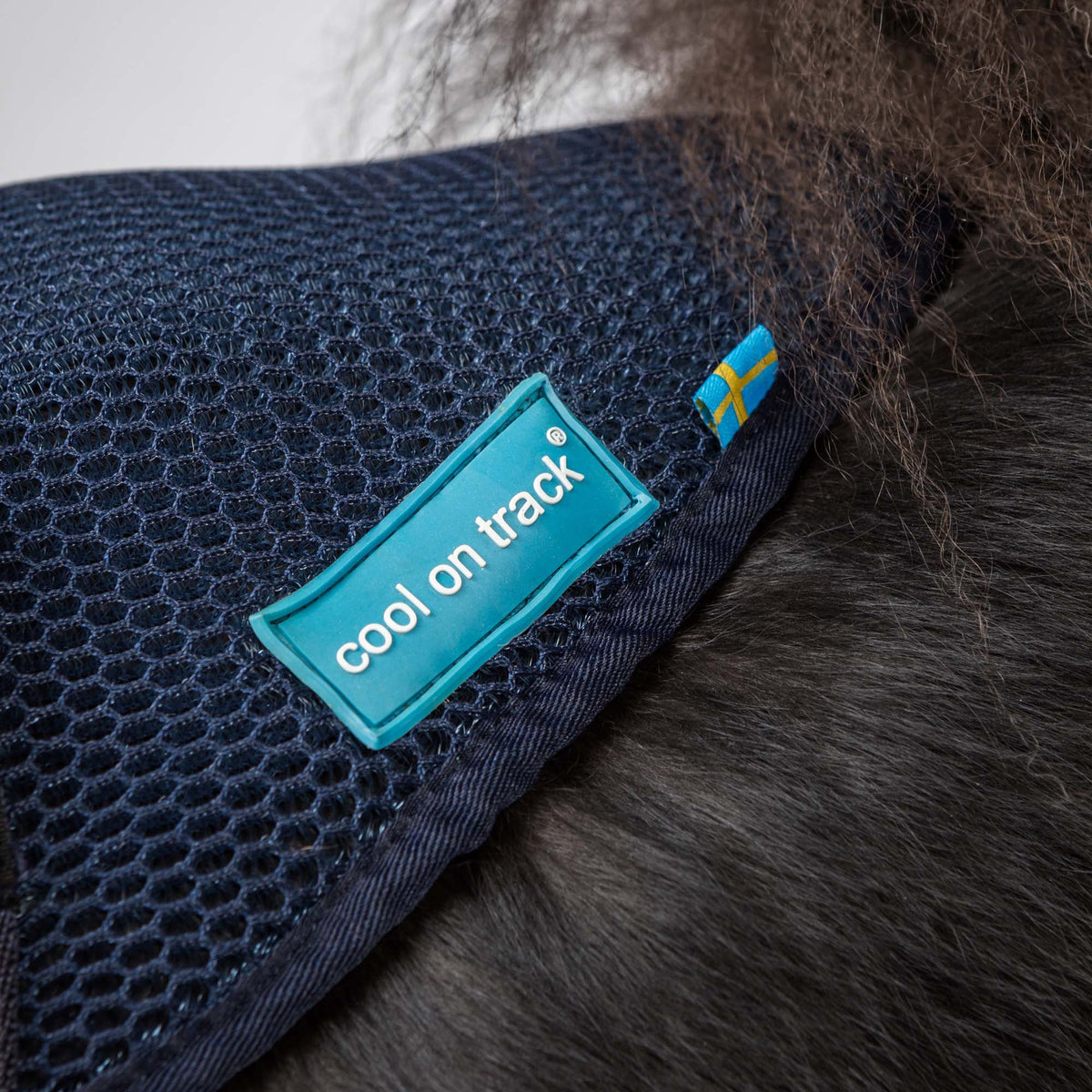 Cool on Track Dog Harness