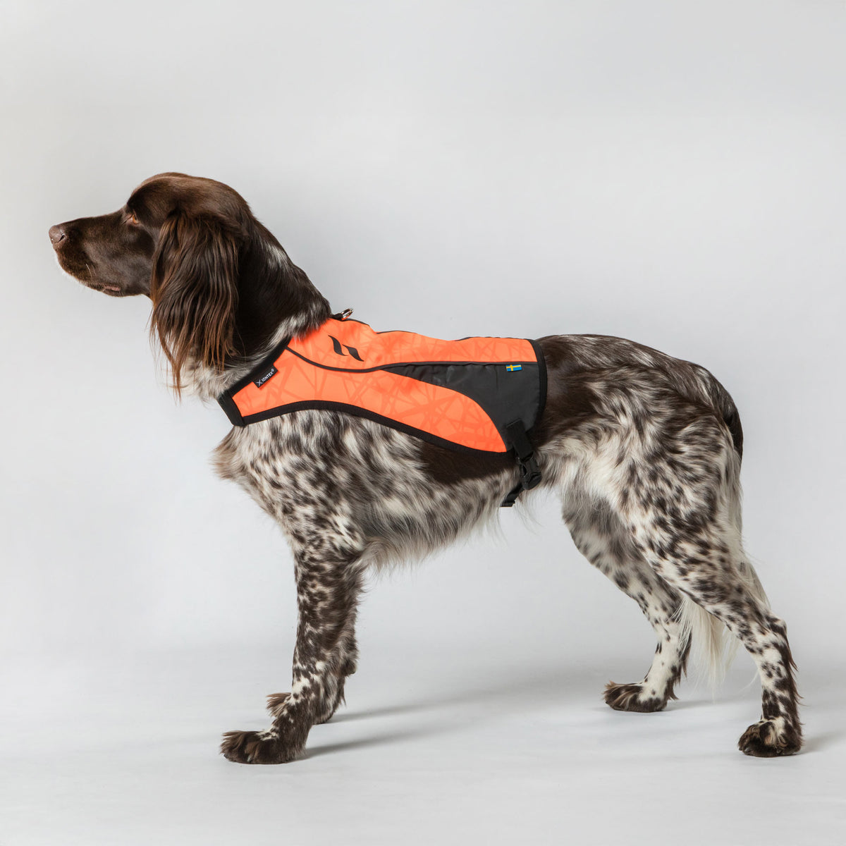 Gilet de visibilité POINT pour chien