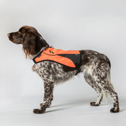 Gilet de visibilité POINT pour chien